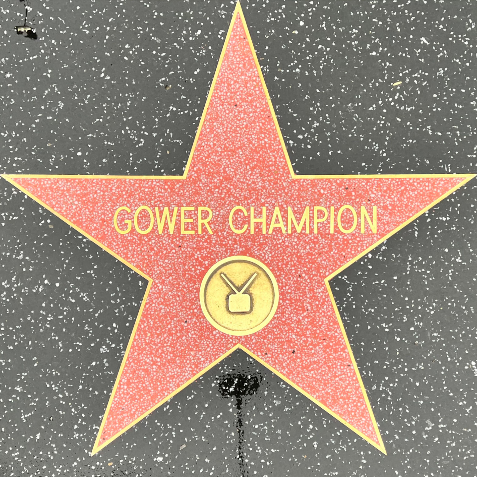 Gower Champion's Television Star