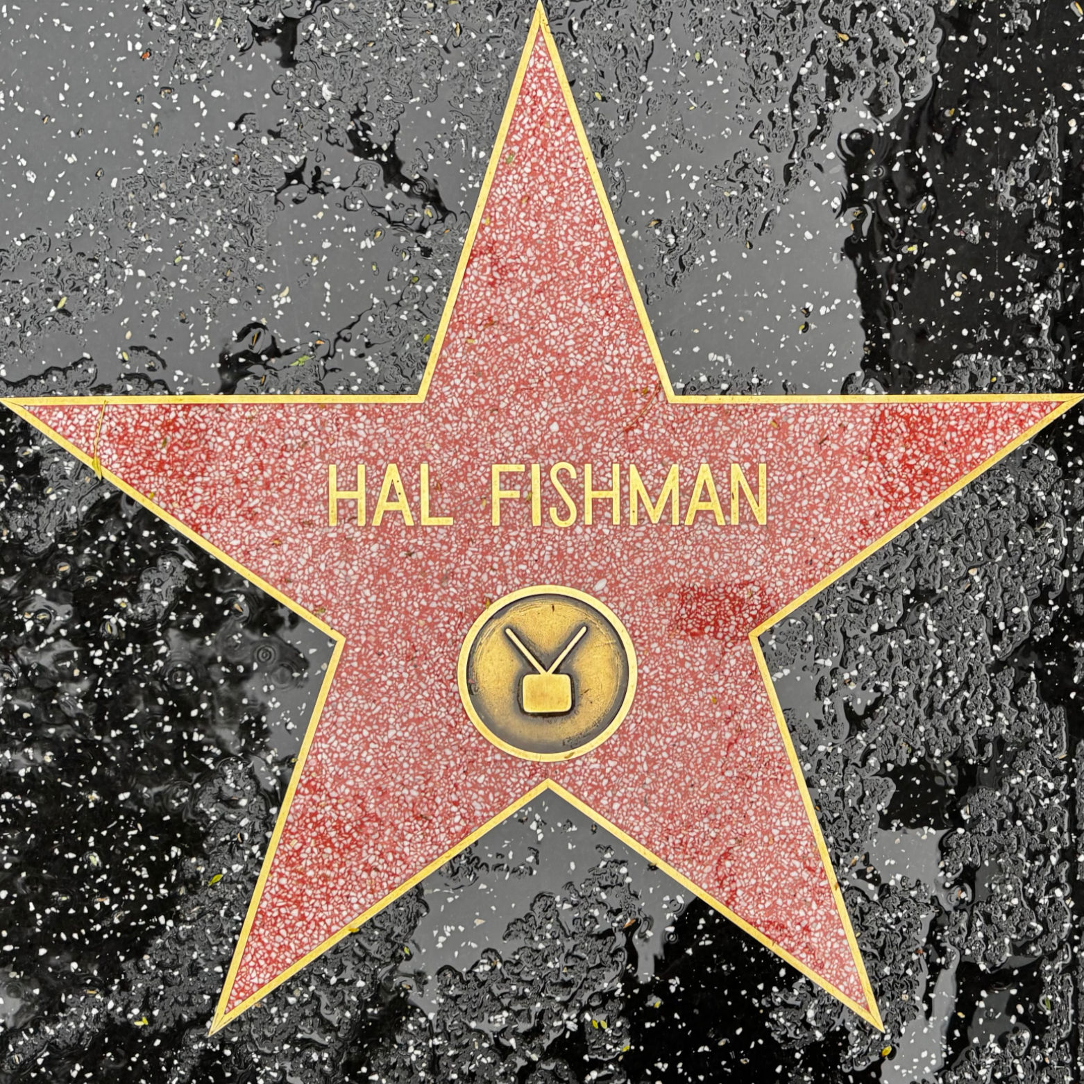 Hal Fishman's Television Star