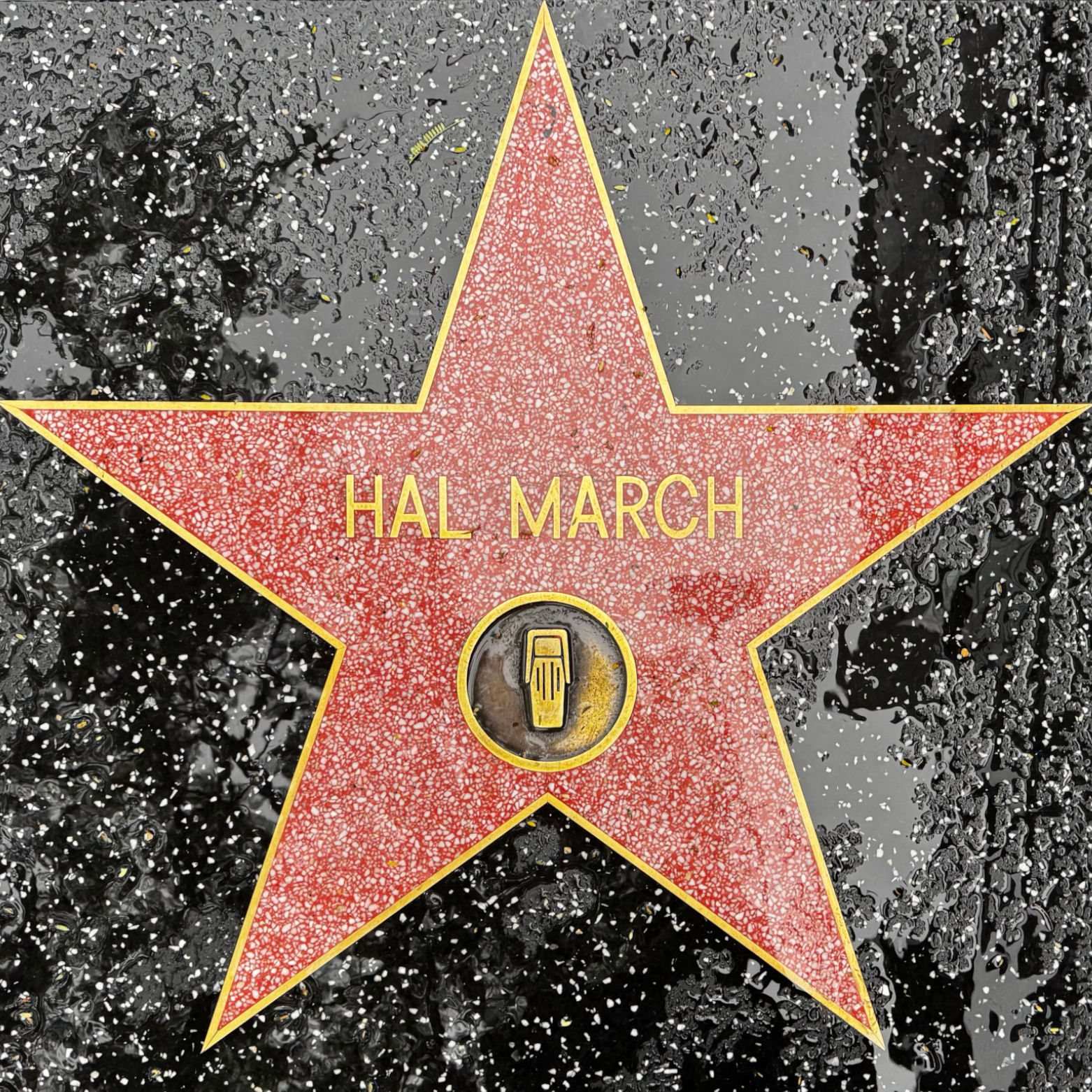 Hal March's Radio Star Hal March's Radio Star