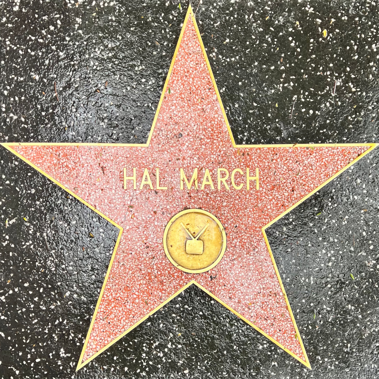 Hal March's Television Star