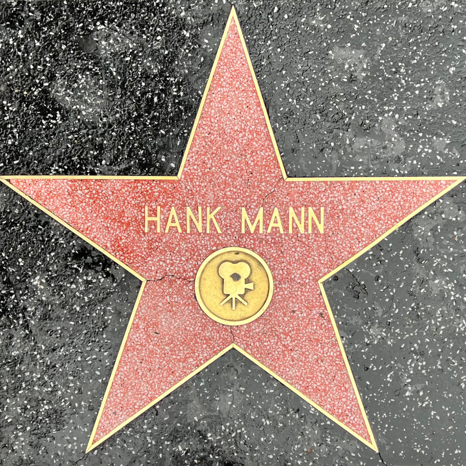 Hank Mann's Motion Pictures Star
