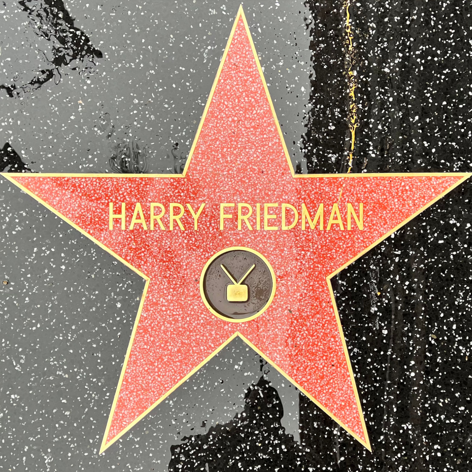 Harry Friedman's Television Star