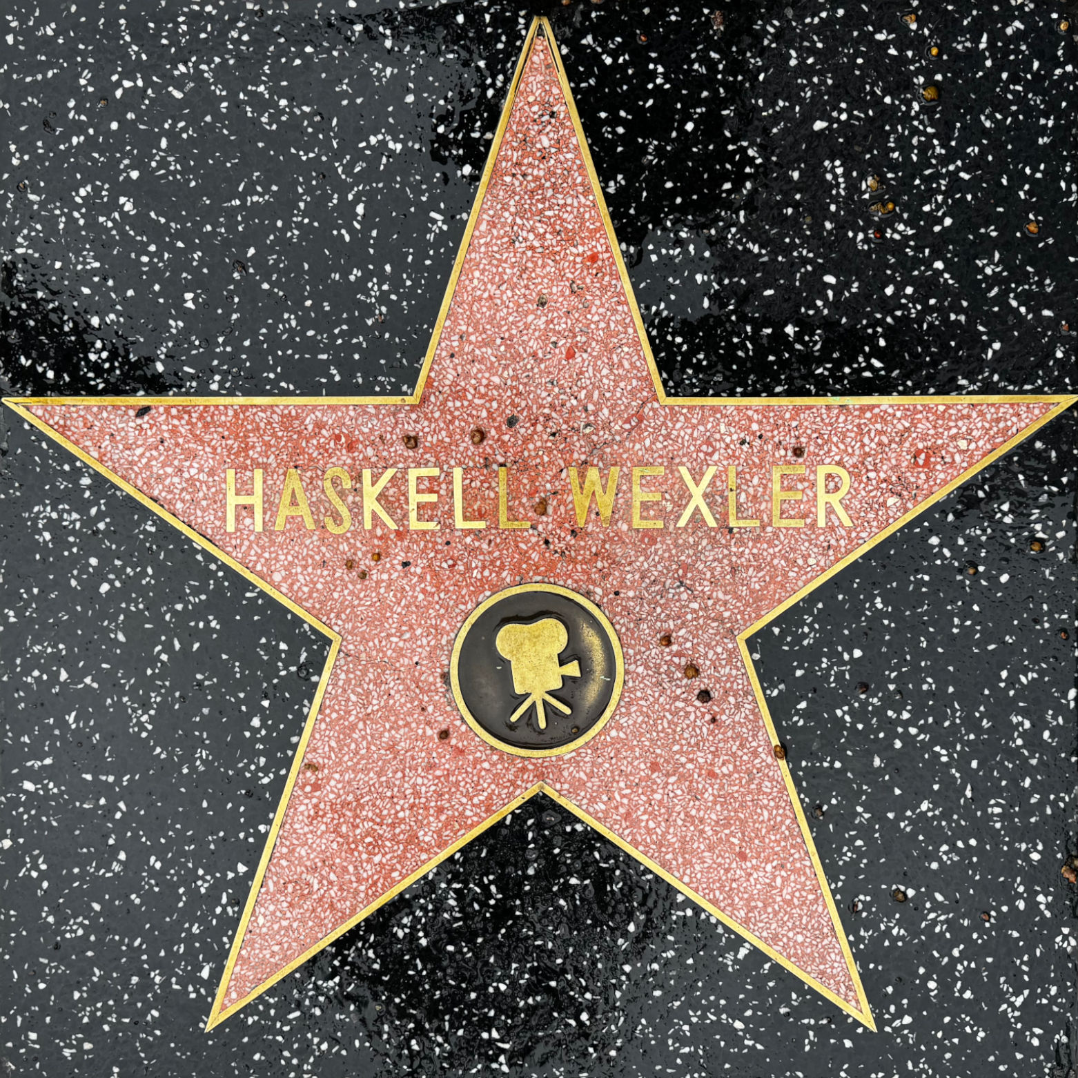 Haskell Wexler's Motion Pictures Star Haskell Wexler's Motion Pictures Star