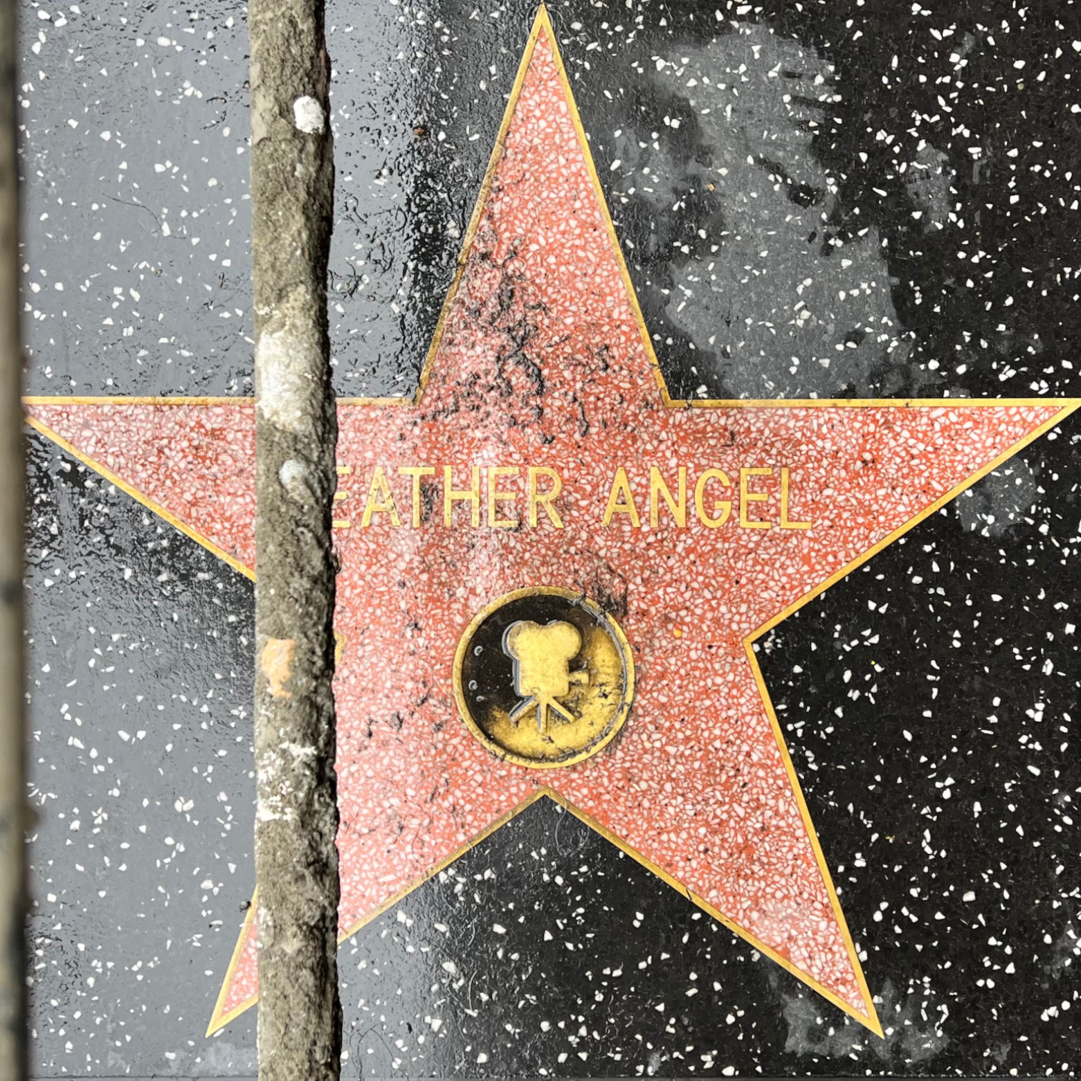 Heather Angel's Motion Pictures Star