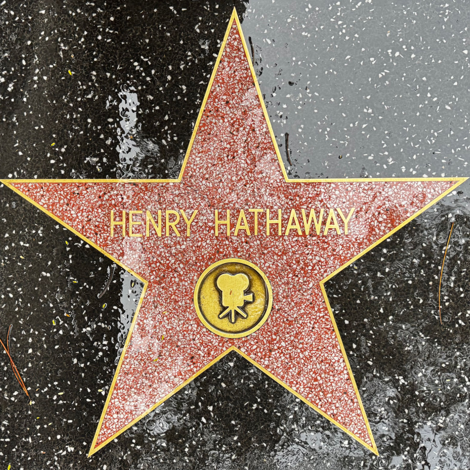 Henry Hathaway's Motion Pictures Star Henry Hathaway's Motion Pictures Star