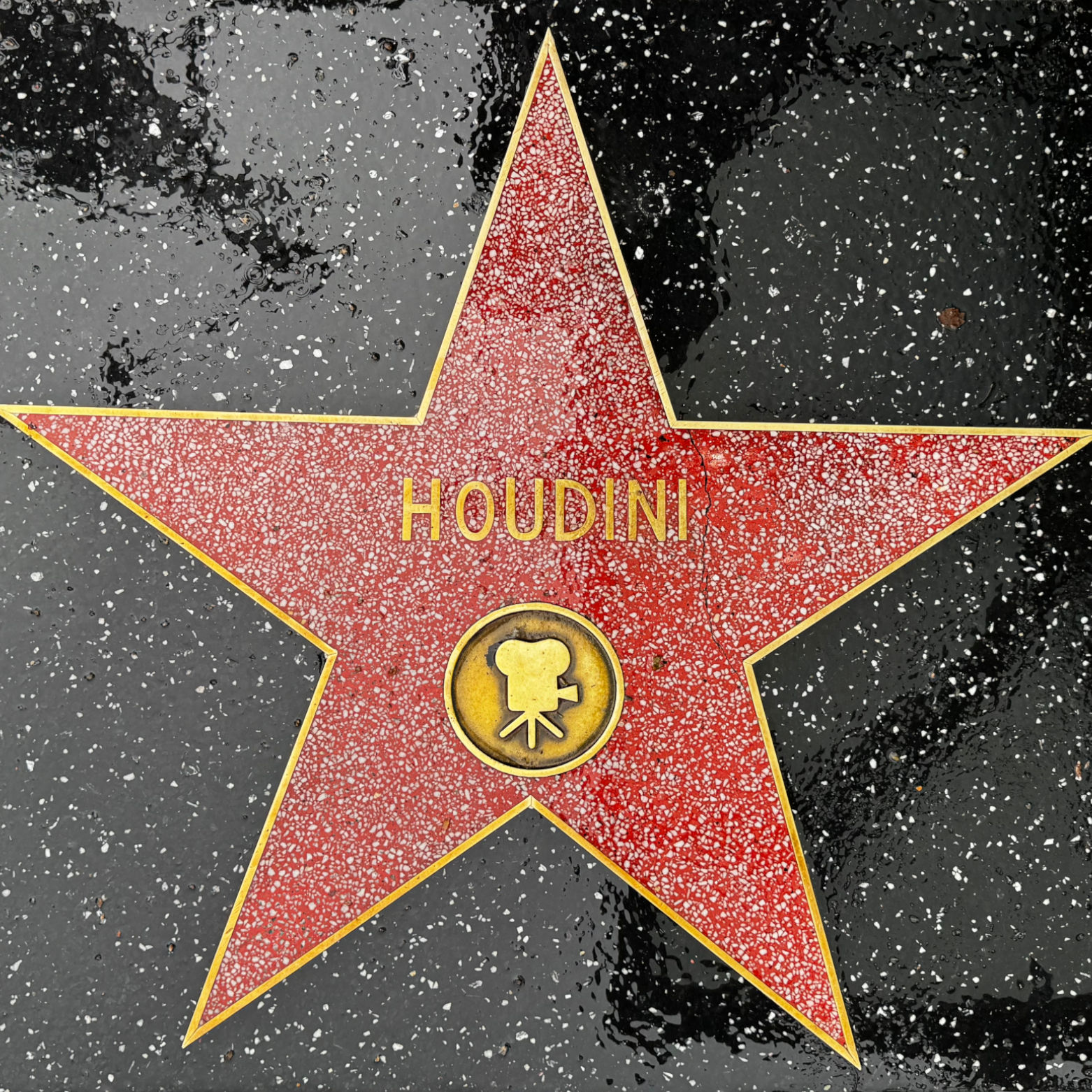 Houdini's Motion Pictures Star Houdini's Motion Pictures Star