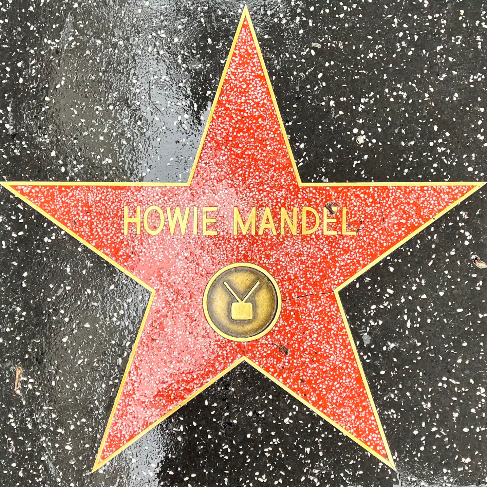 Howie Mandel's Television Star