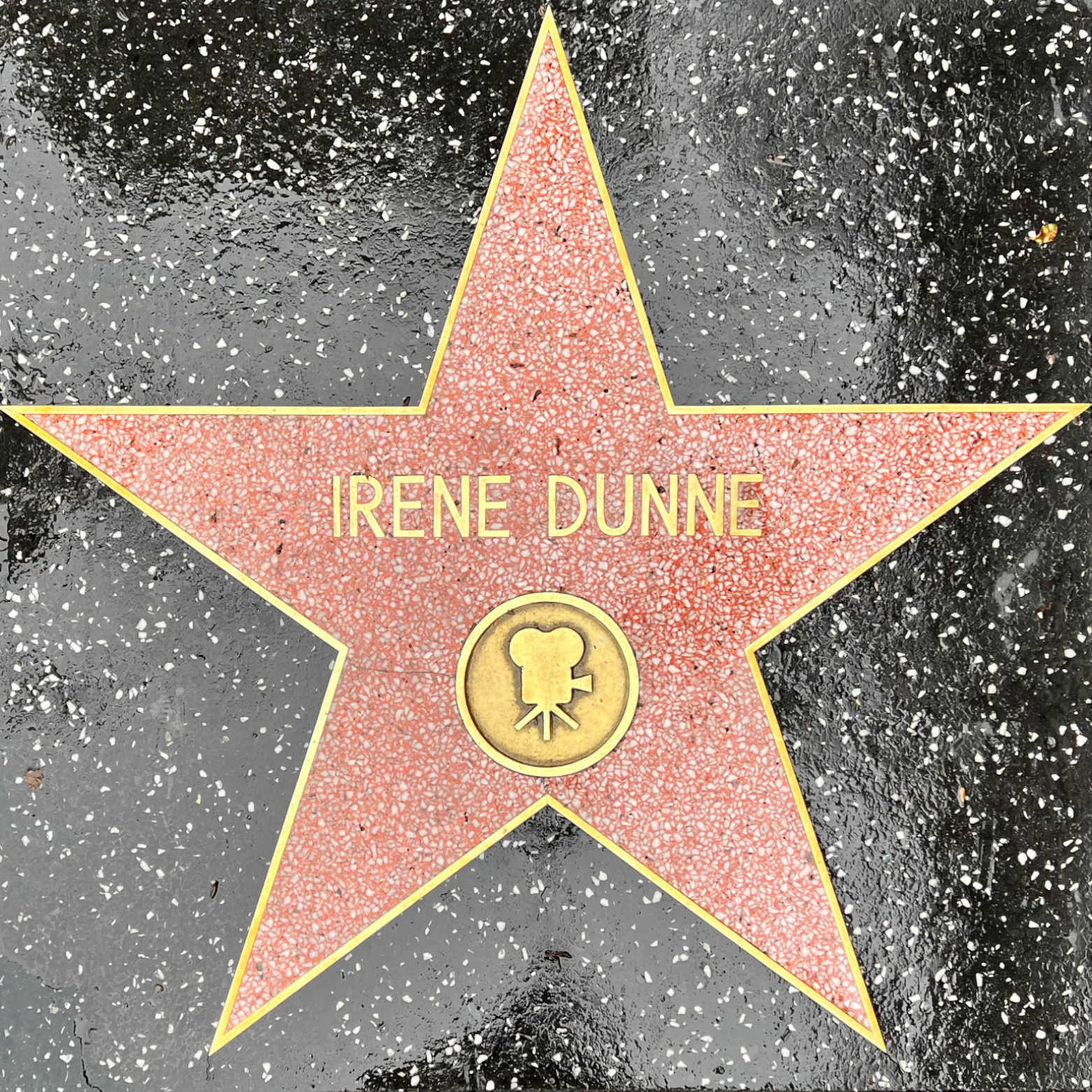 Irene Dunne's Motion Pictures Star