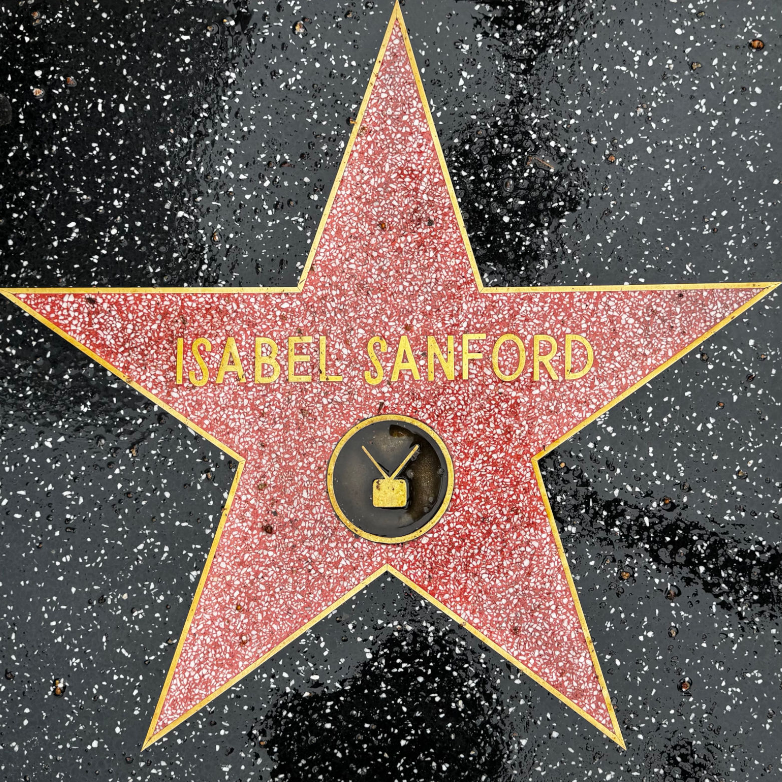 Isabel Sanford's Television Star Isabel Sanford's Television Star