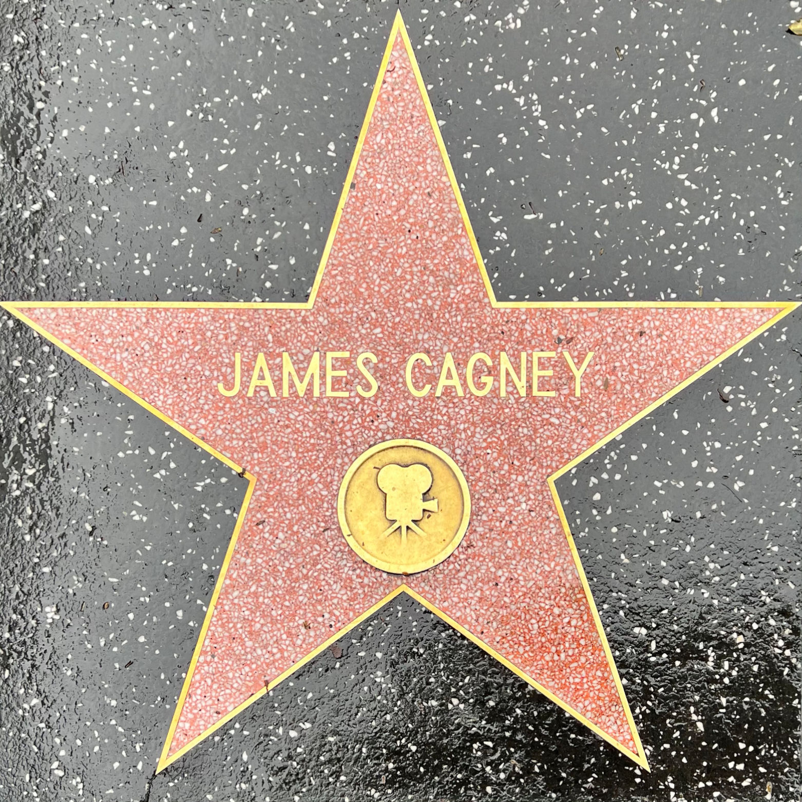 James Cagney's Motion Pictures Star