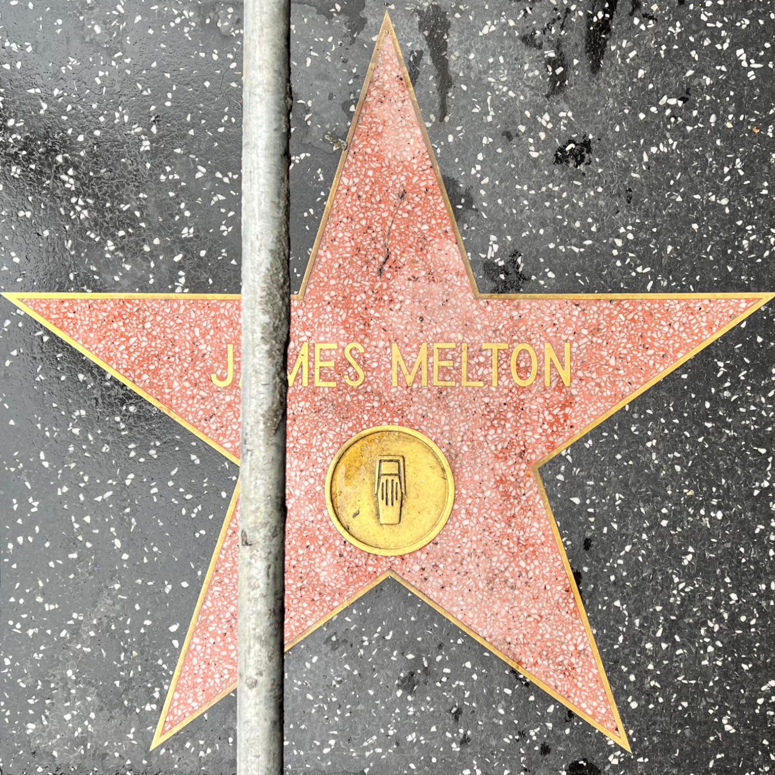 James Melton's Radio Star