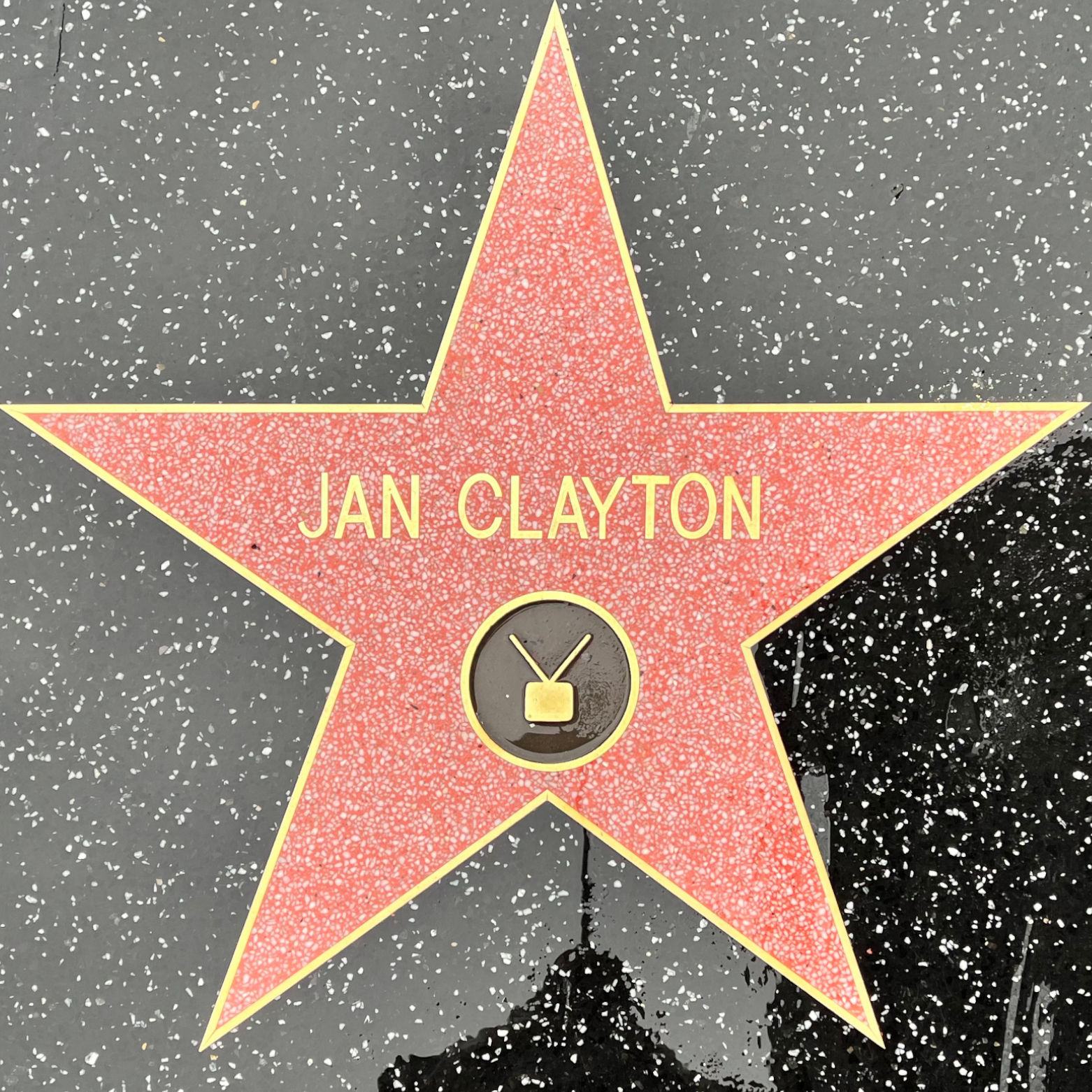 Jan Clayton's Television Star