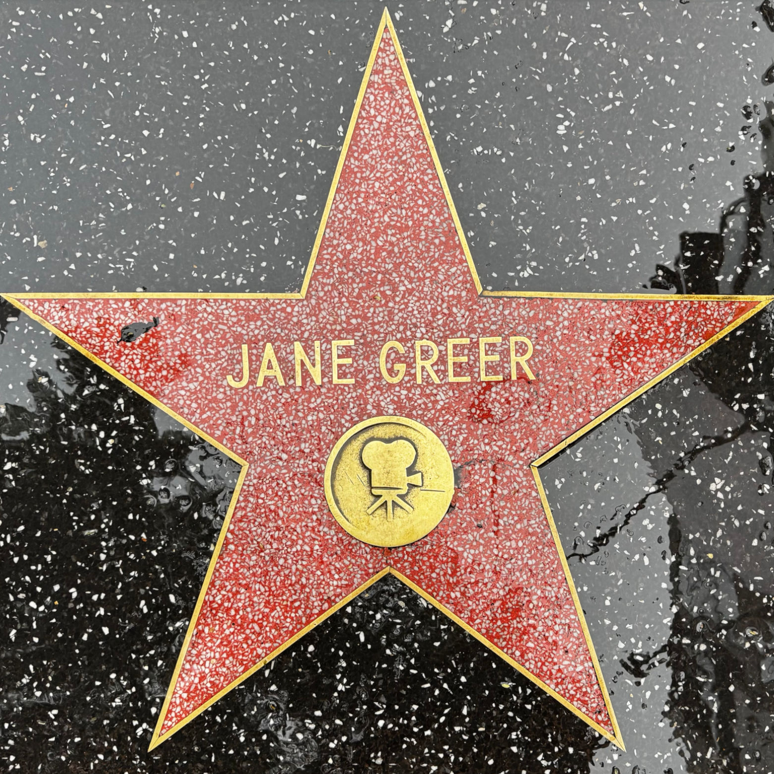 Jane Greer's Motion Pictures Star Jane Greer's Motion Pictures Star