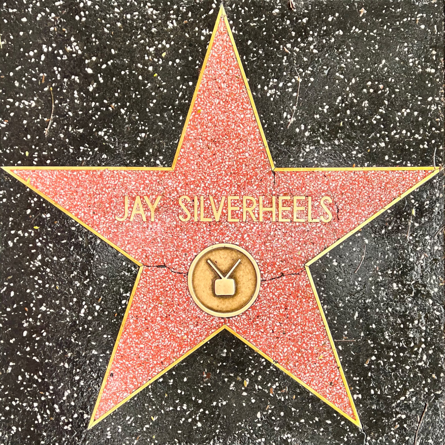 Jay Silverheels's Television Star