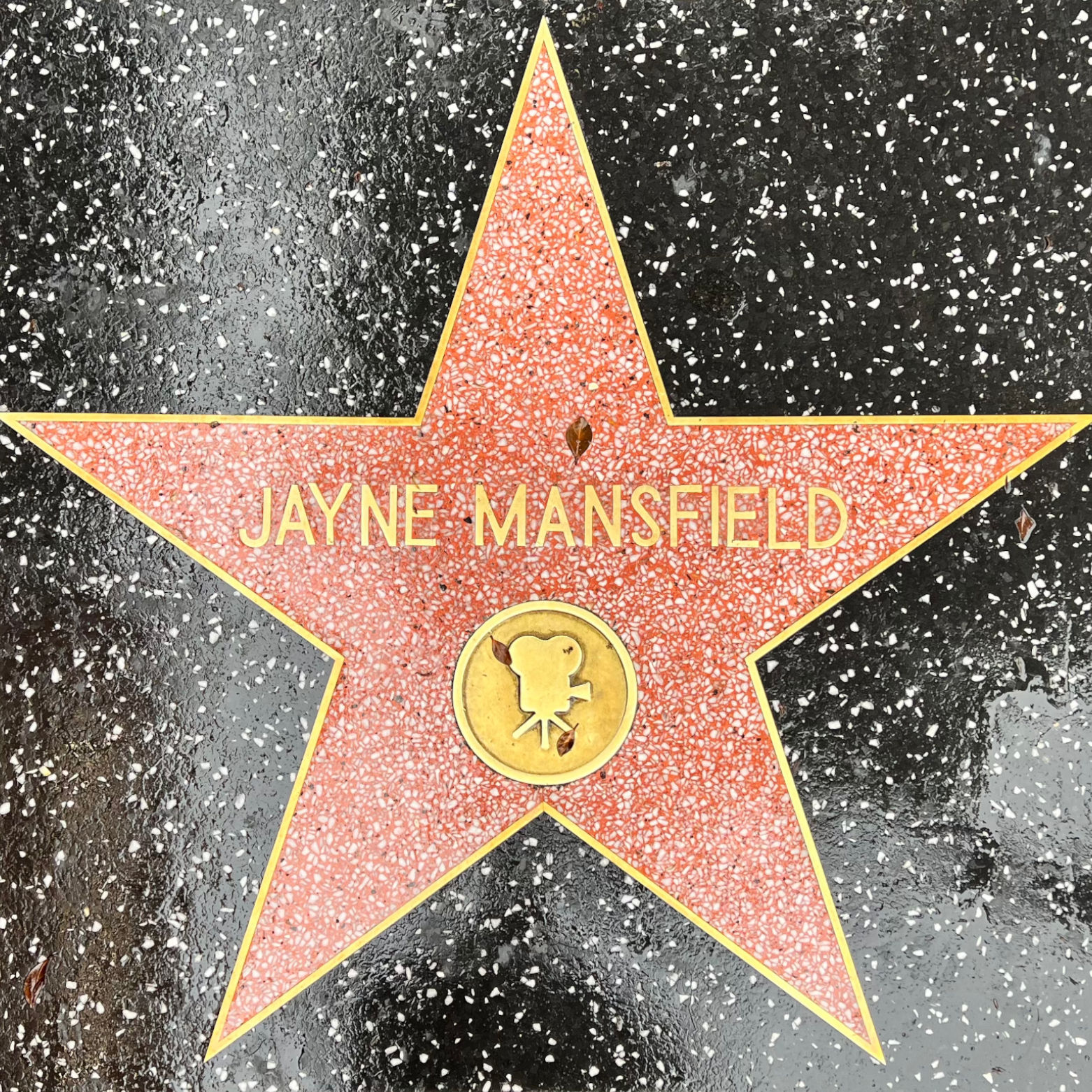 Jayne Mansfield's Motion Pictures Star