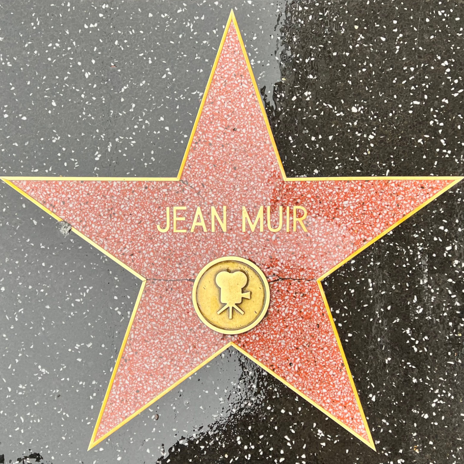 Jean Muir's Motion Pictures Star