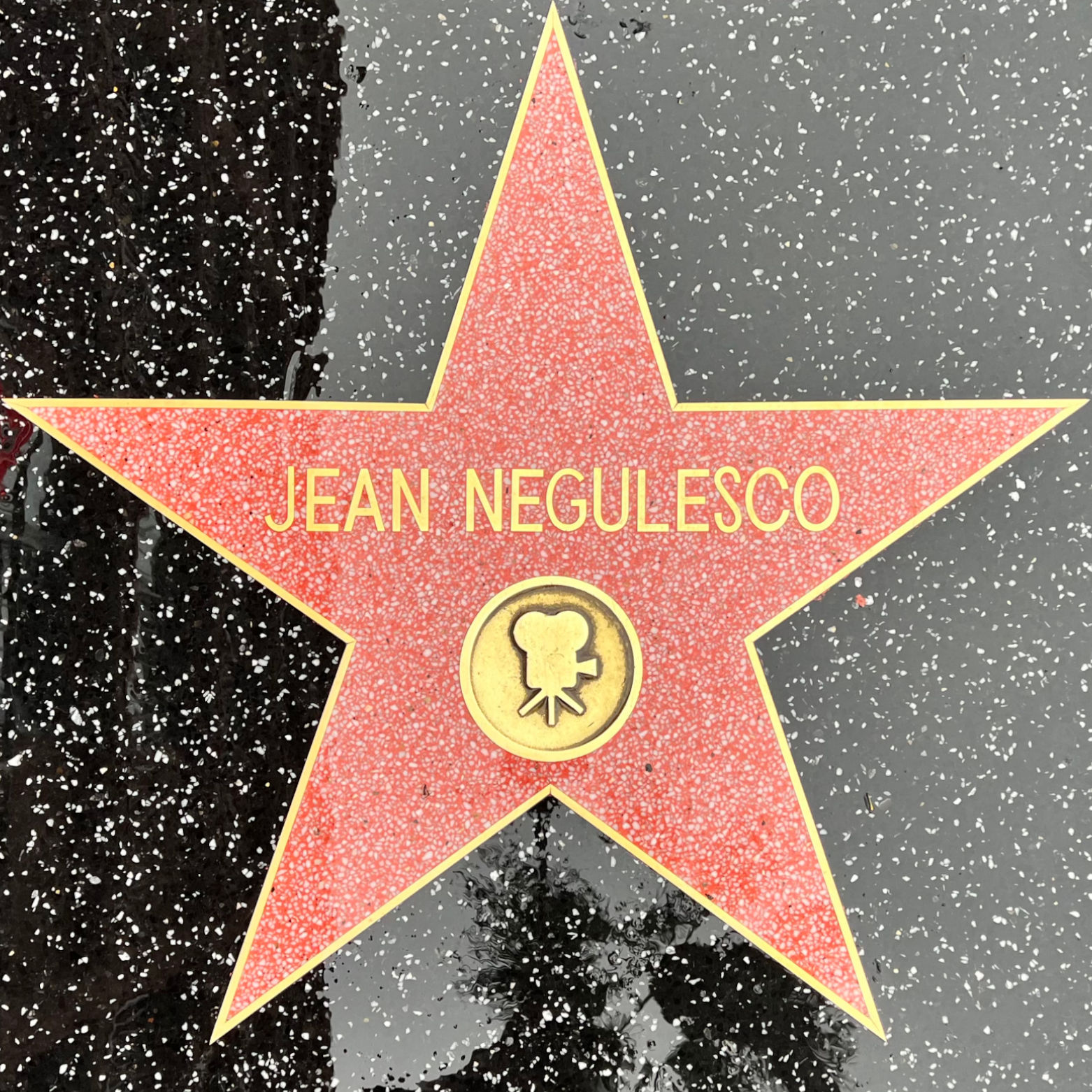 Jean Negulesco's Motion Pictures Star