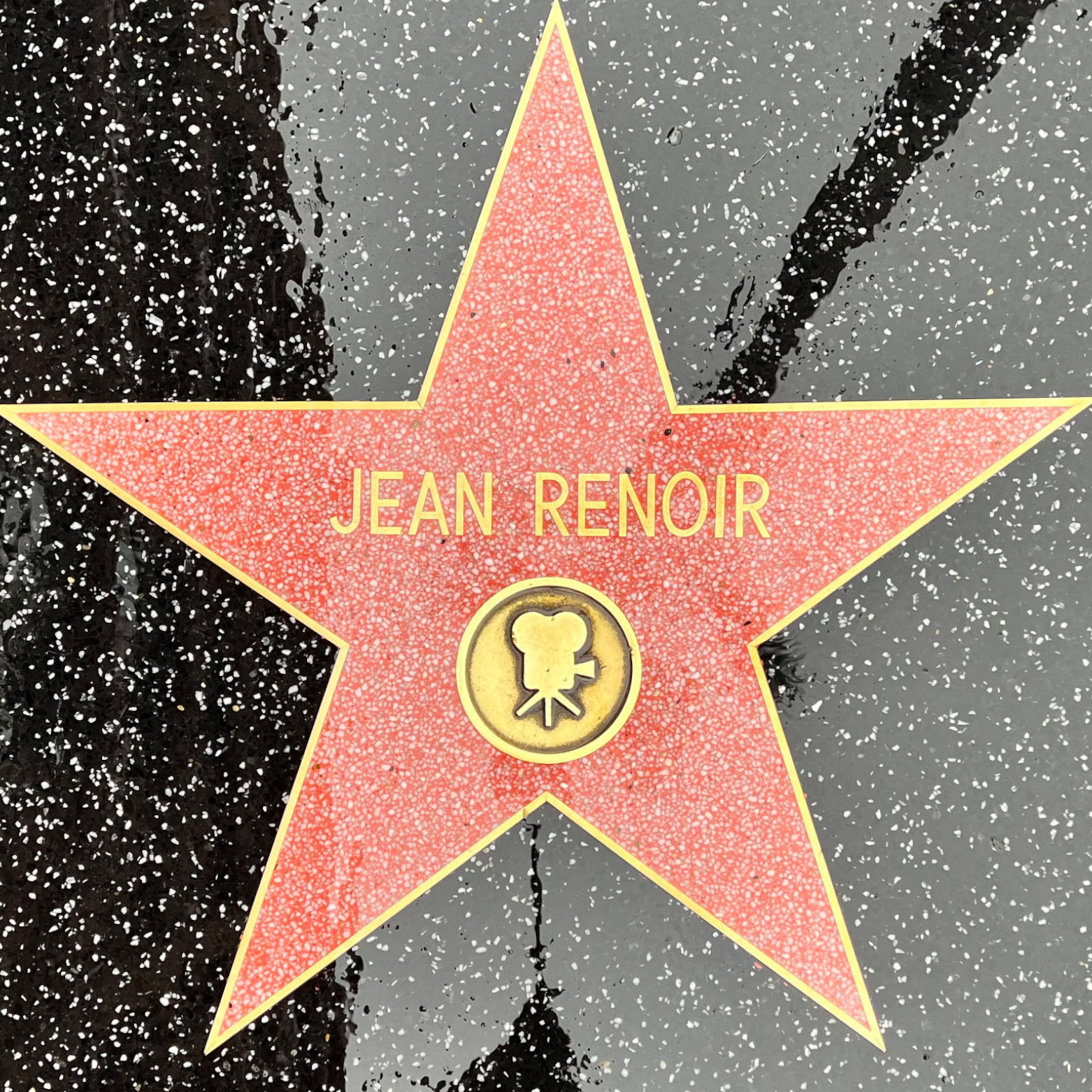 Jean Renoir's Motion Pictures Star