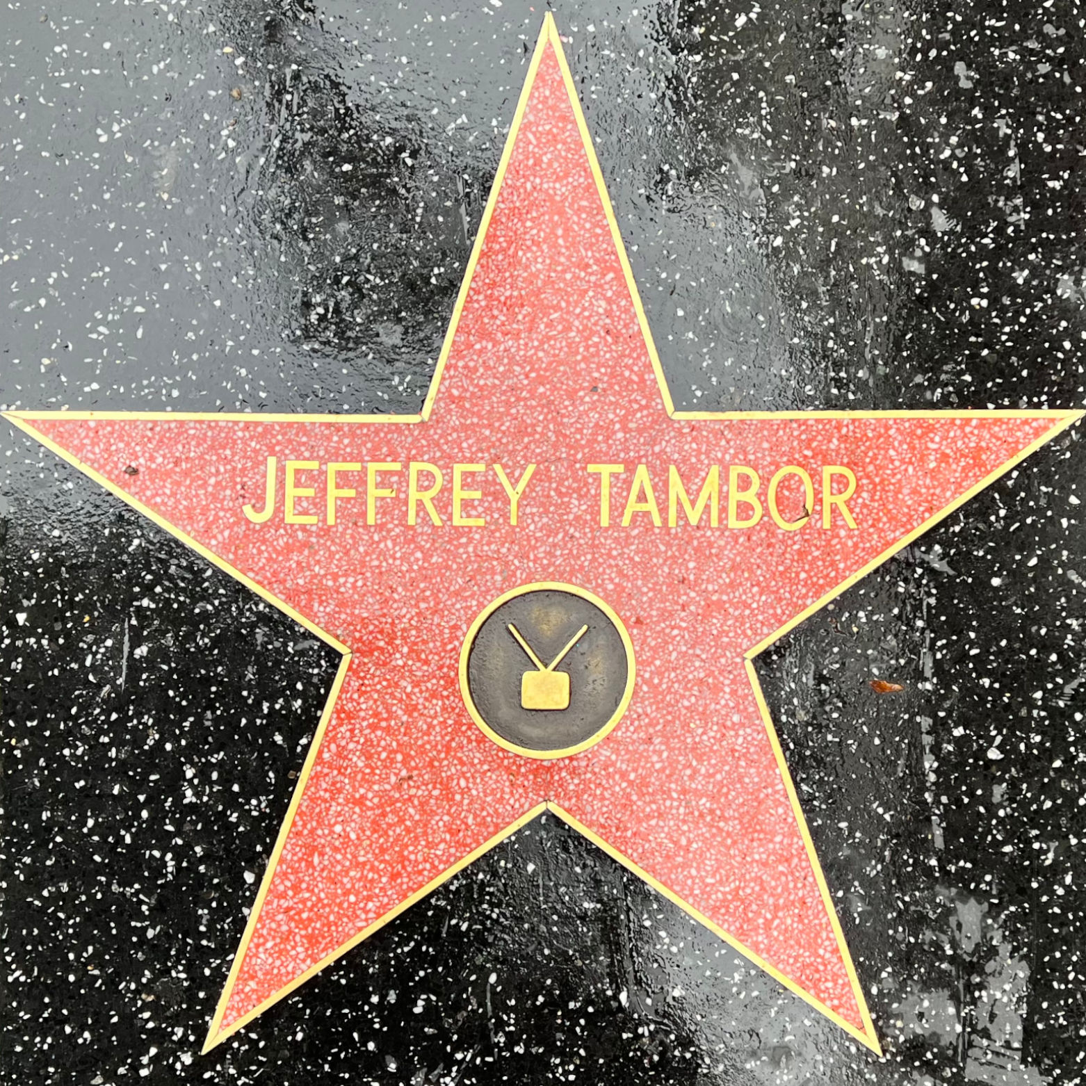 Jeffrey Tambor's Television Star