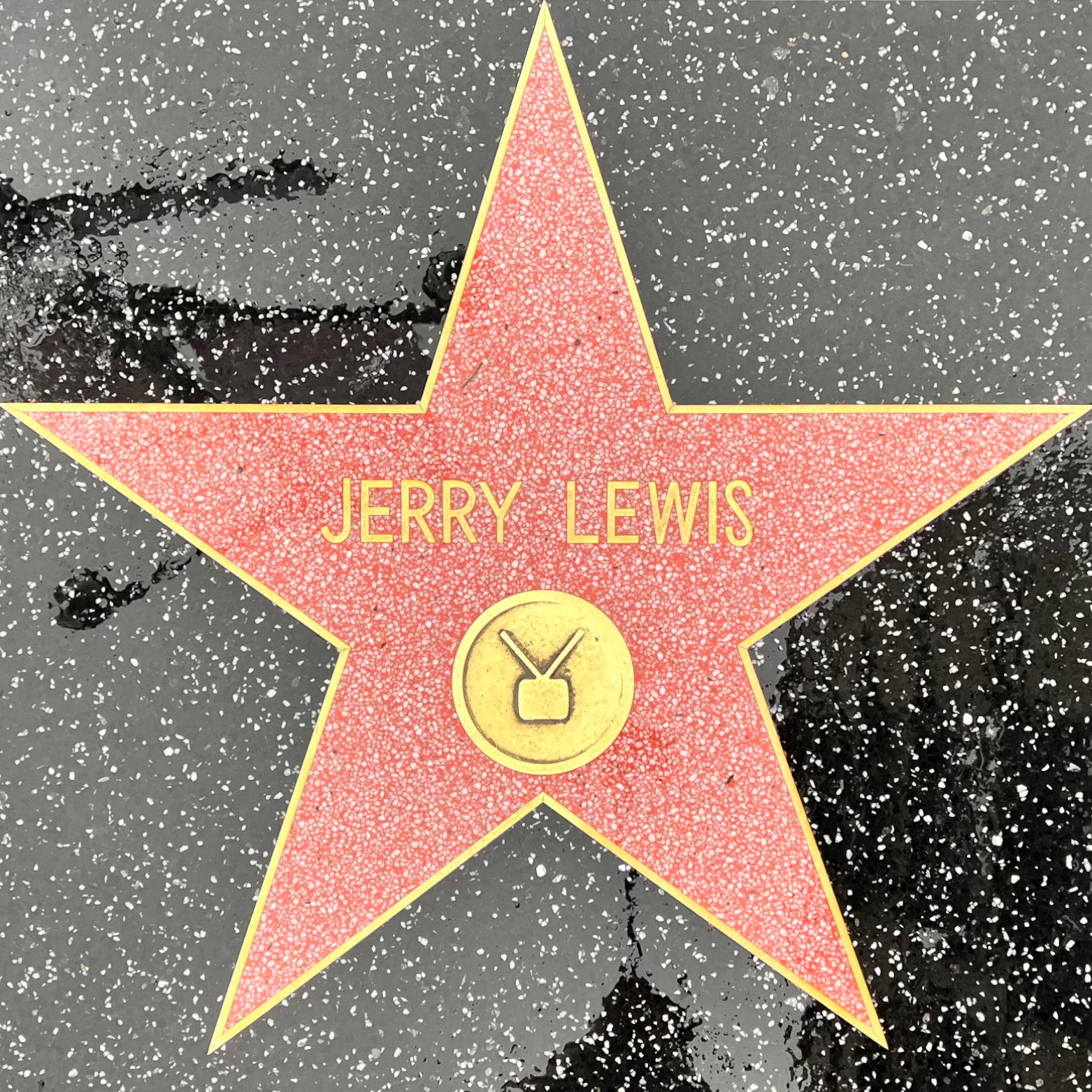 Jerry Lewis's Television Star