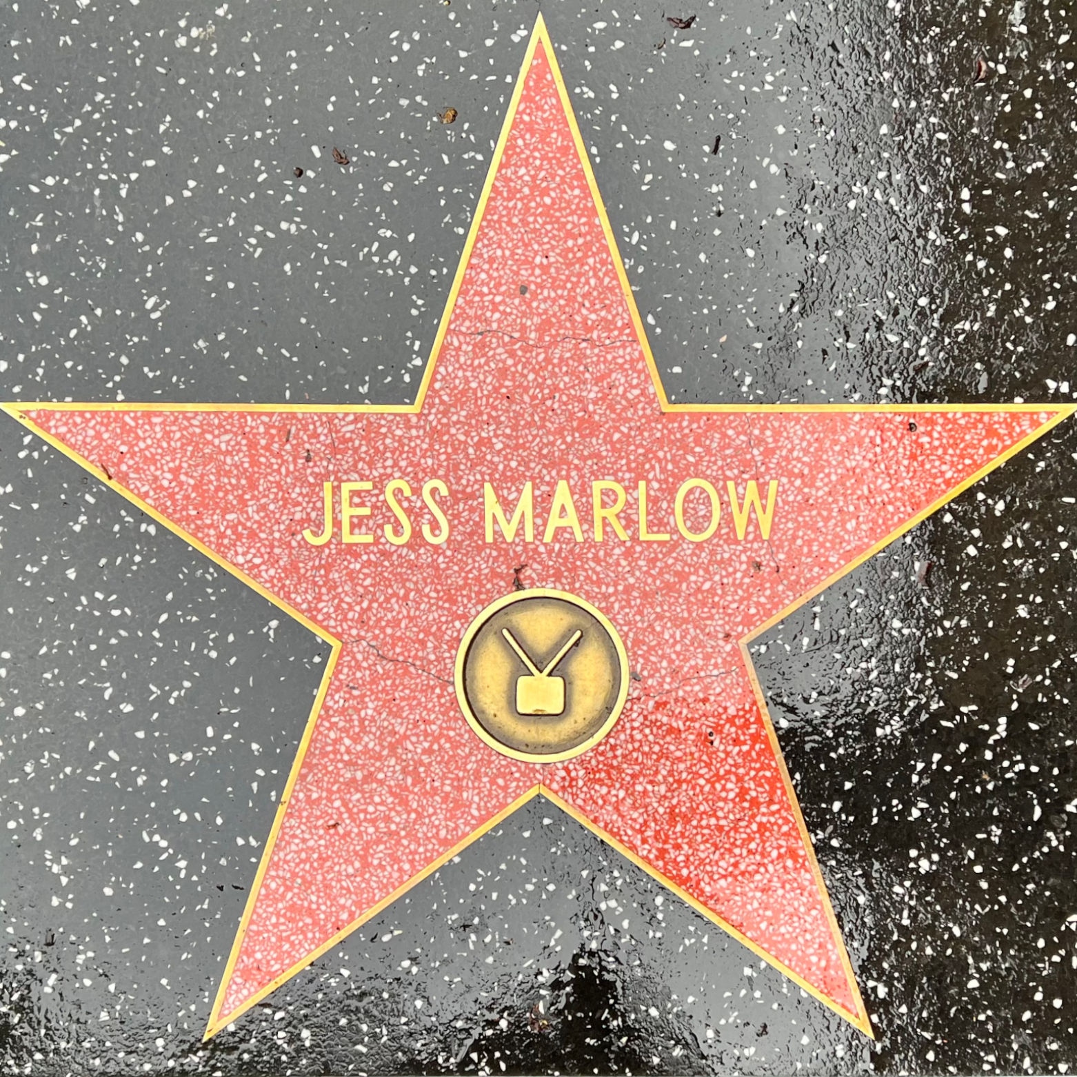 Jess Marlow's Television Star