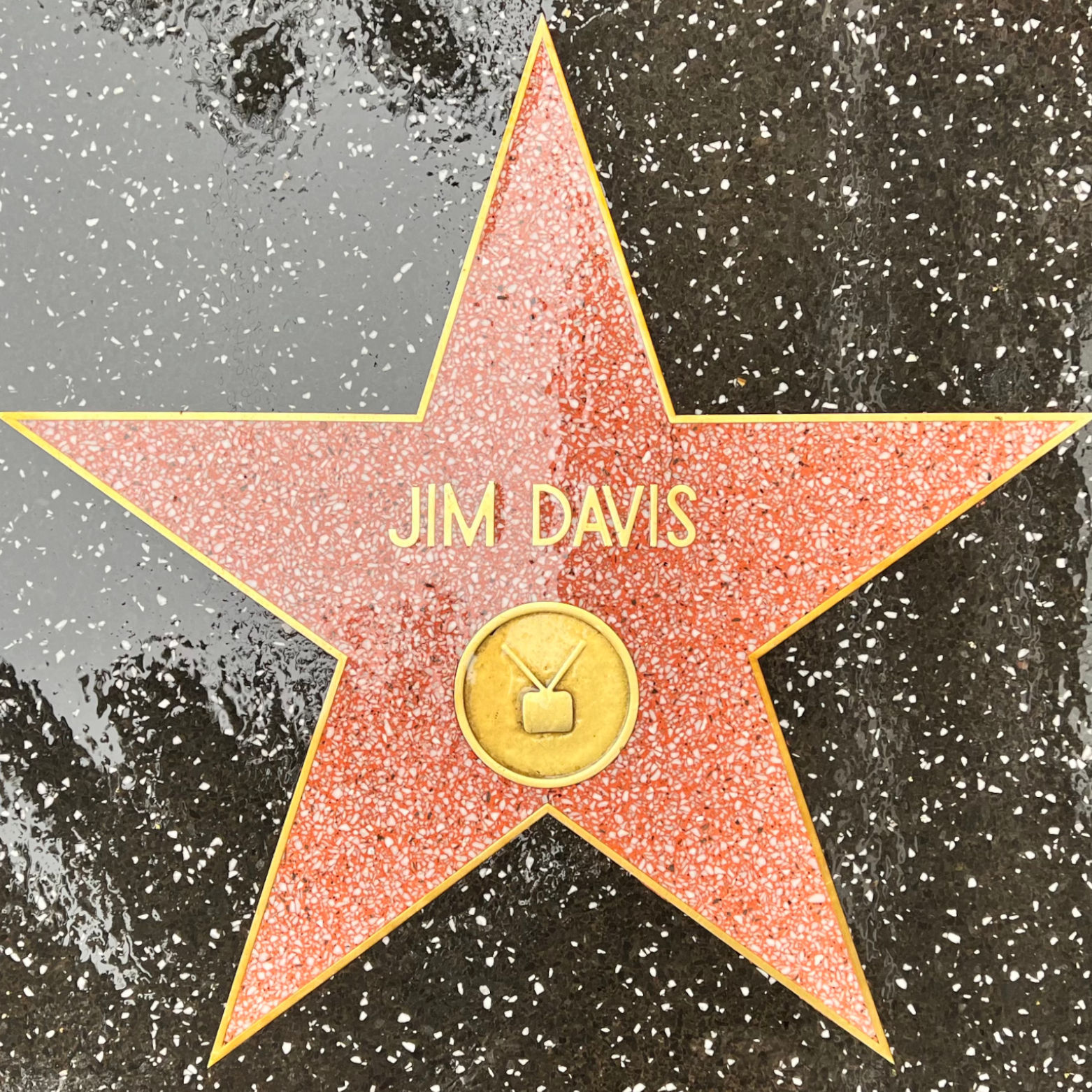 Jim Davis's Television Star