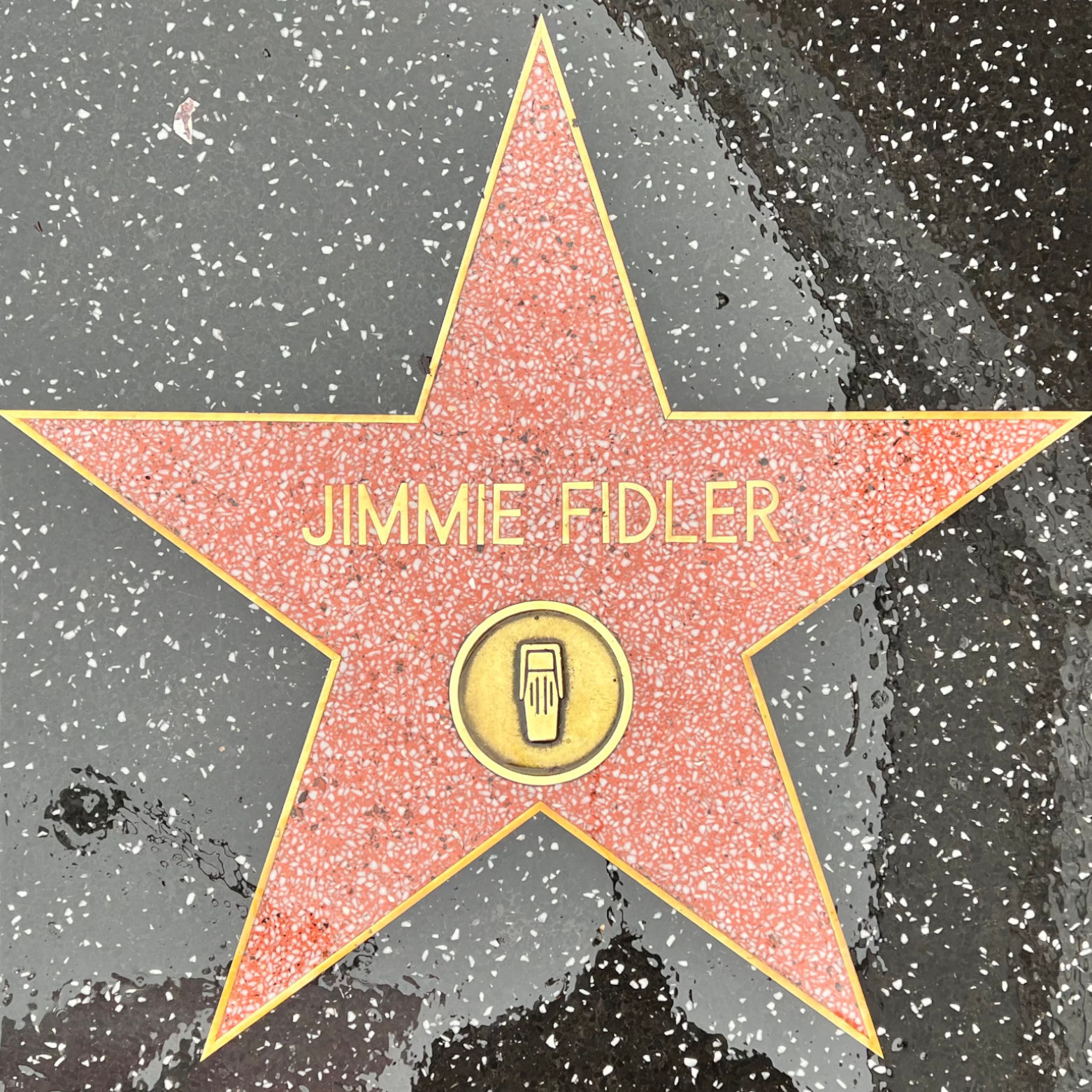 Jimmie Fidler's Radio Star