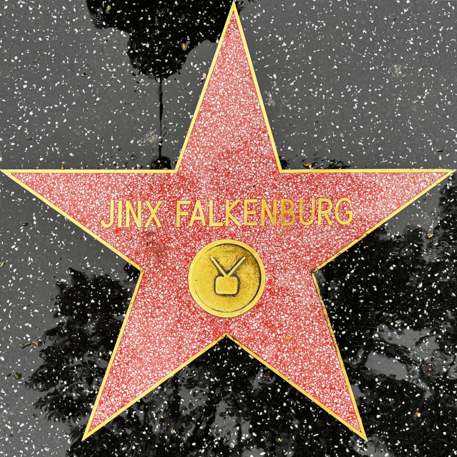 Jinx Falkenburg's Television Star Jinx Falkenburg's Television Star