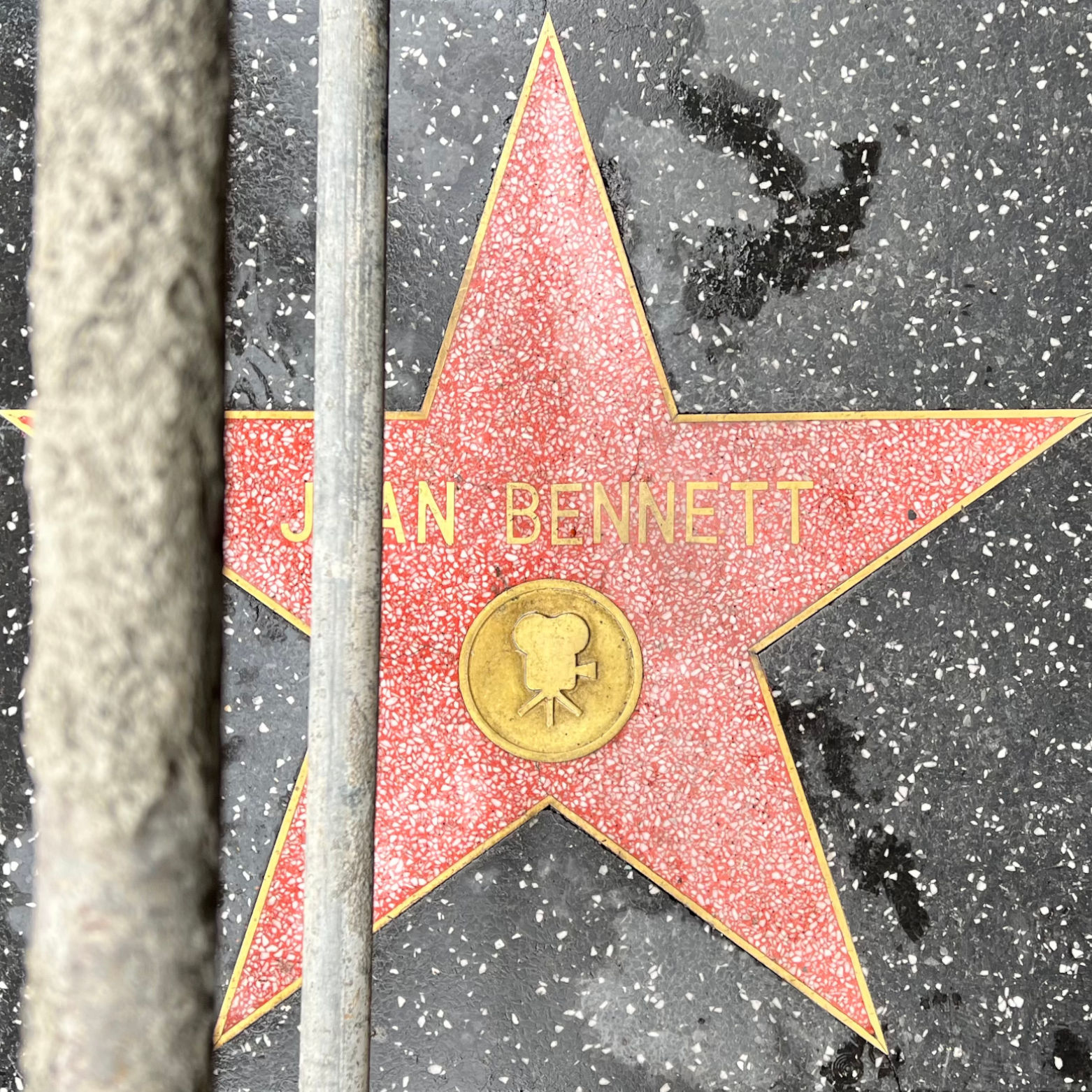 Joan Bennett's Motion Pictures Star