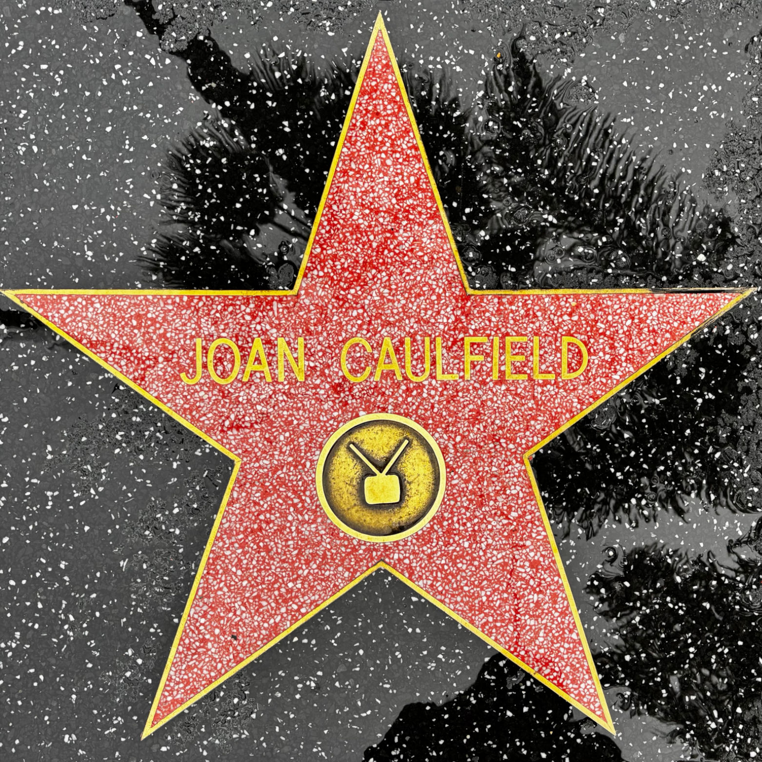 Joan Caulfield's Television Star Joan Caulfield's Television Star