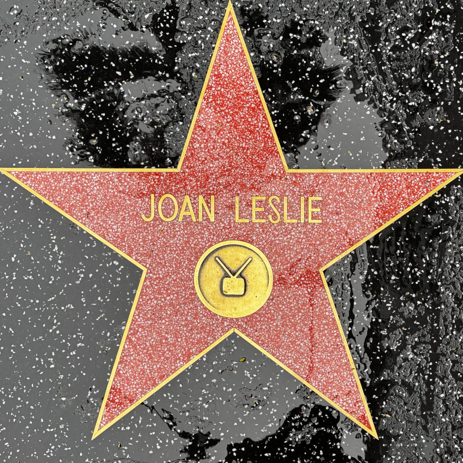Joan Leslie's Television Star