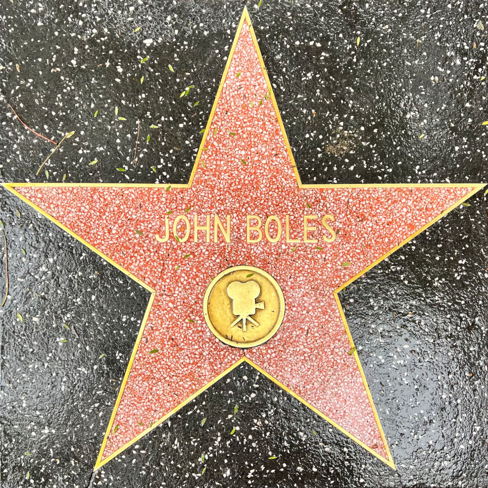 John Boles's Motion Pictures Star