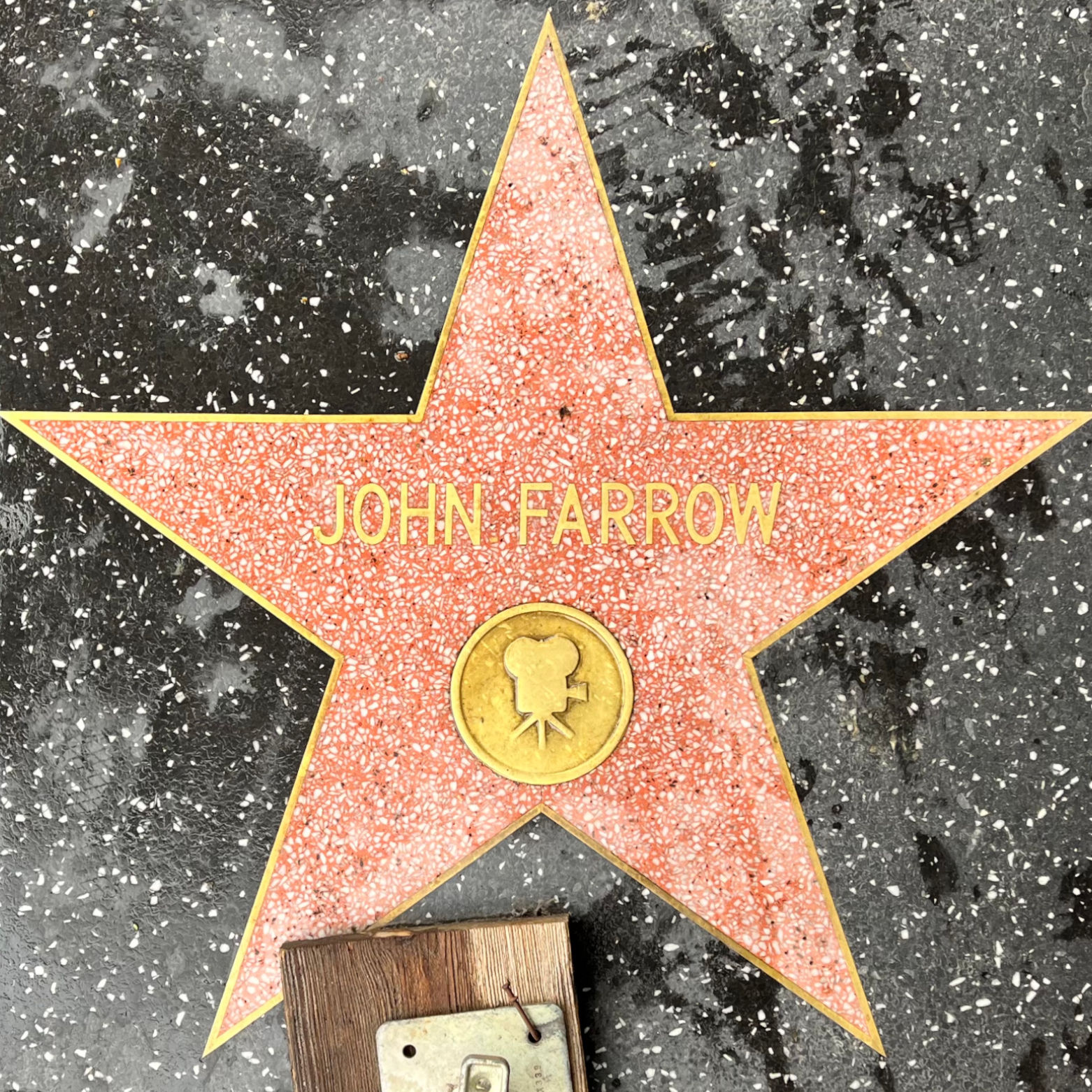 John Farrow's Motion Pictures Star