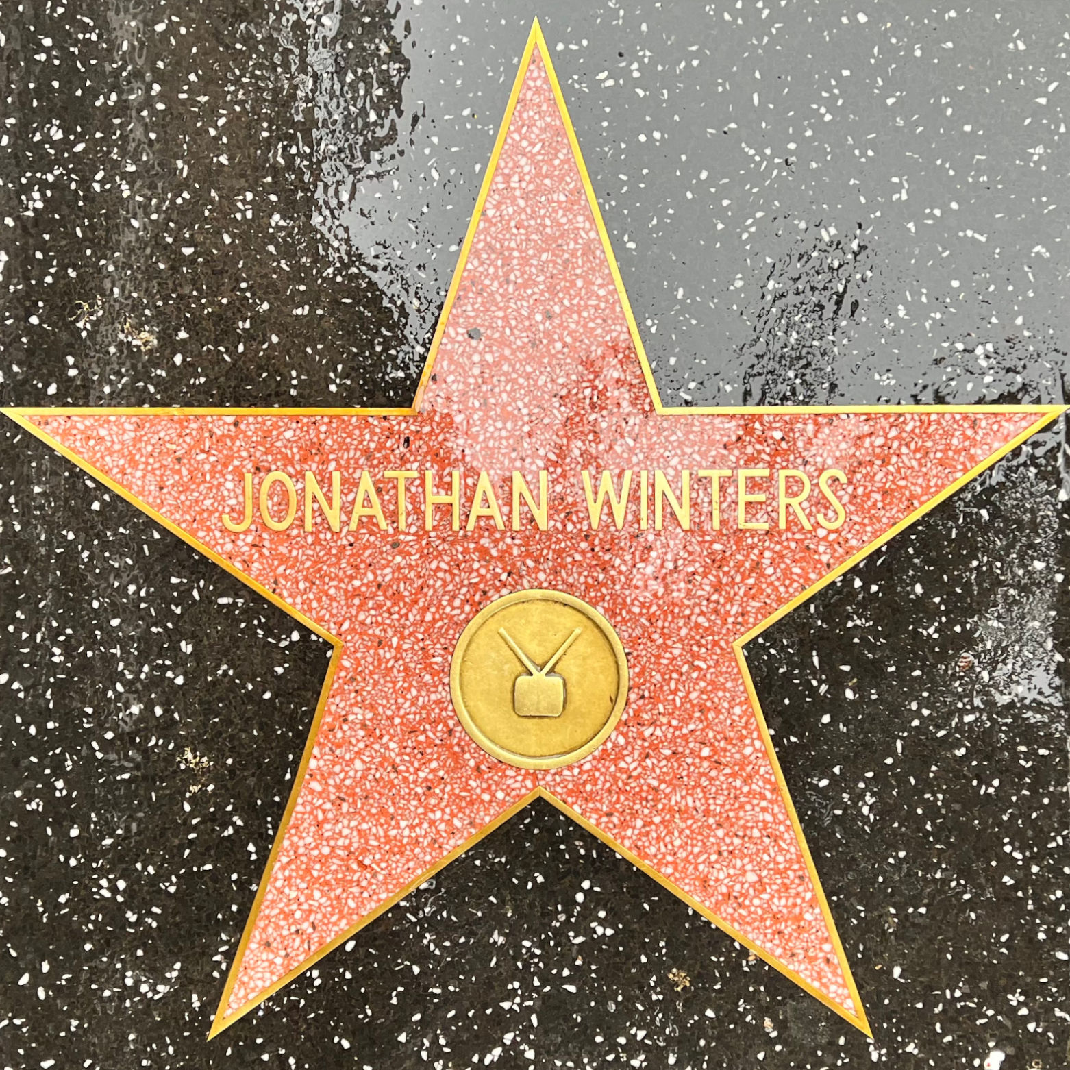 Jonathan Winters's Television Star