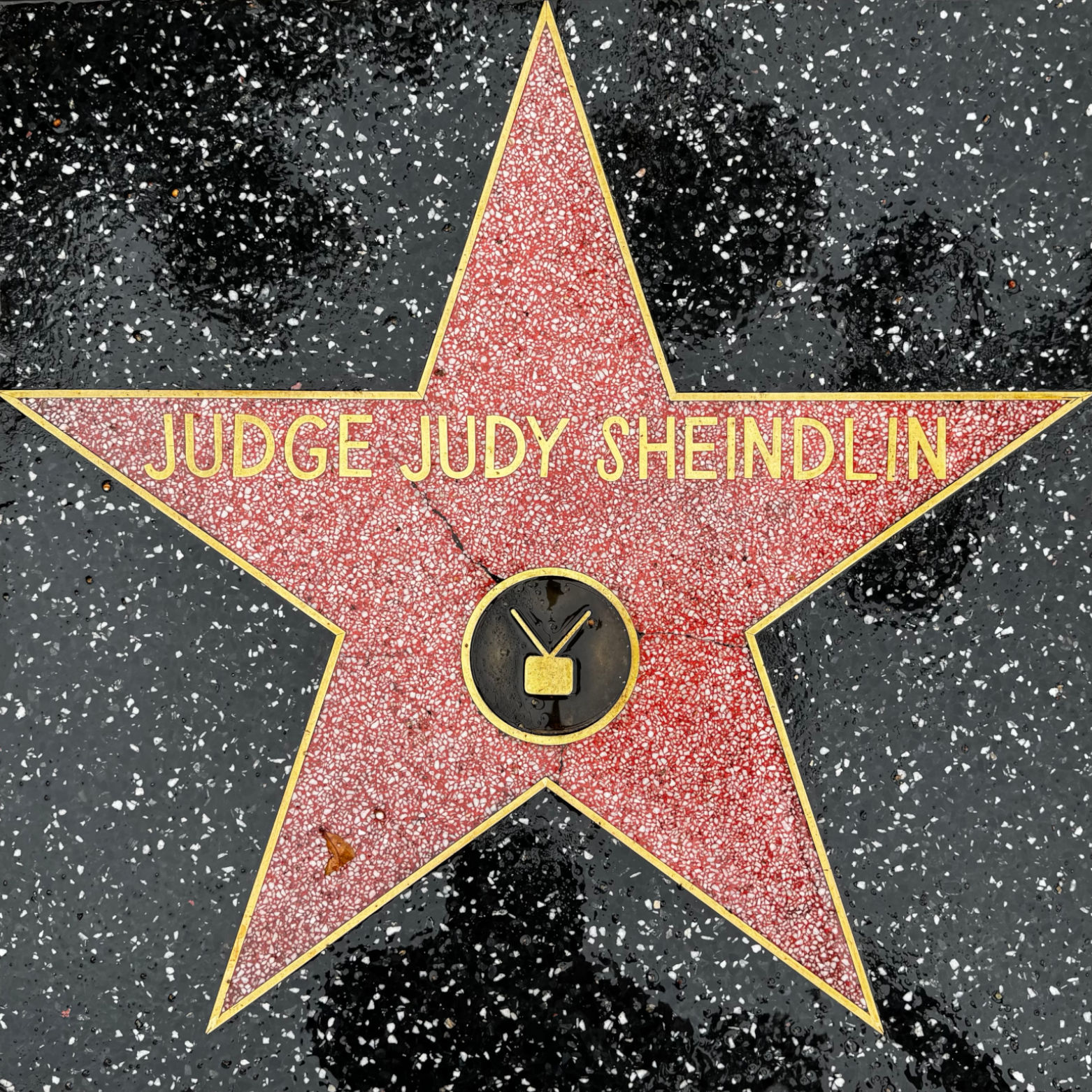 Judge Judy Sheindlin's Television Star Judge Judy Sheindlin's Television Star