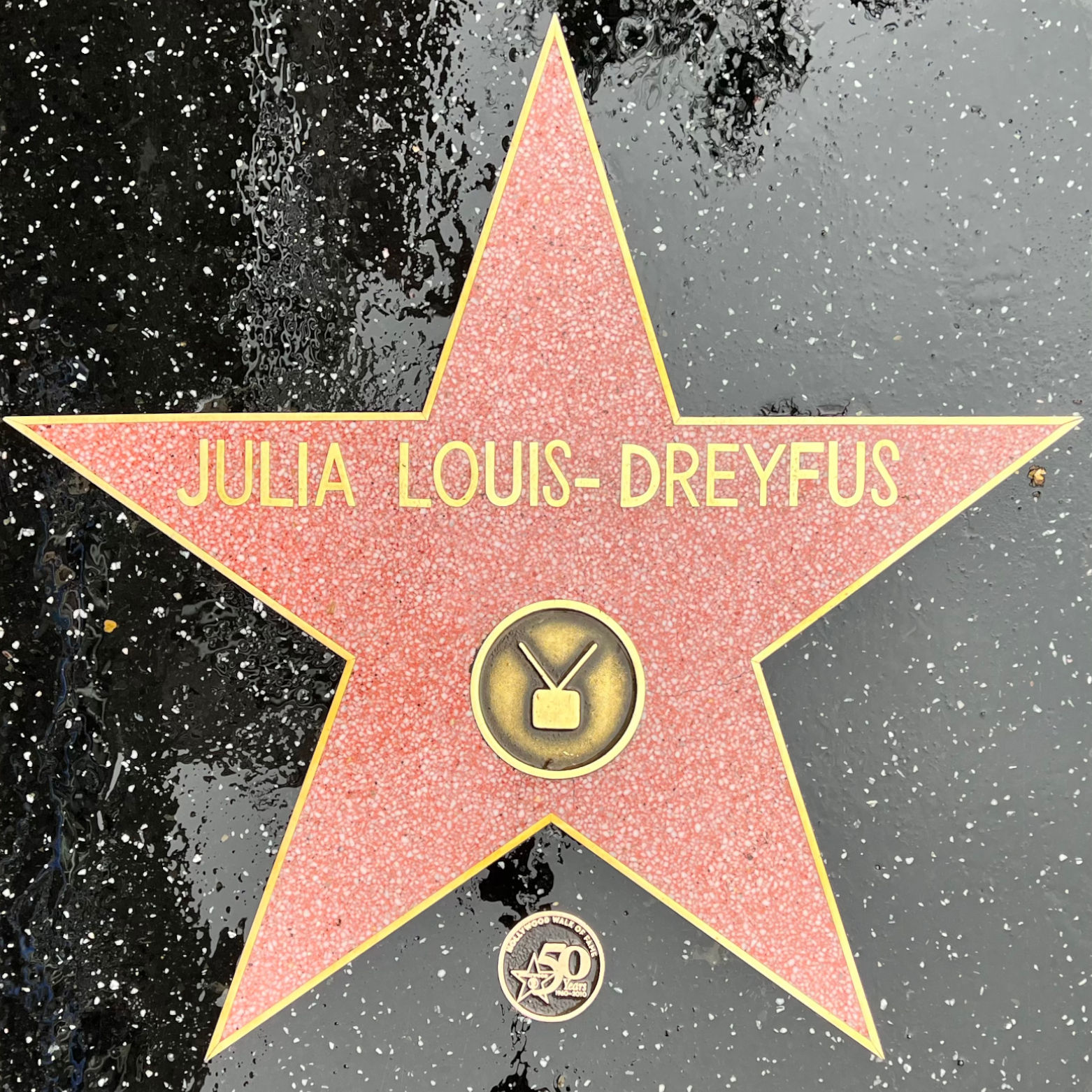 Julia Louis-Dreyfus's Television Star