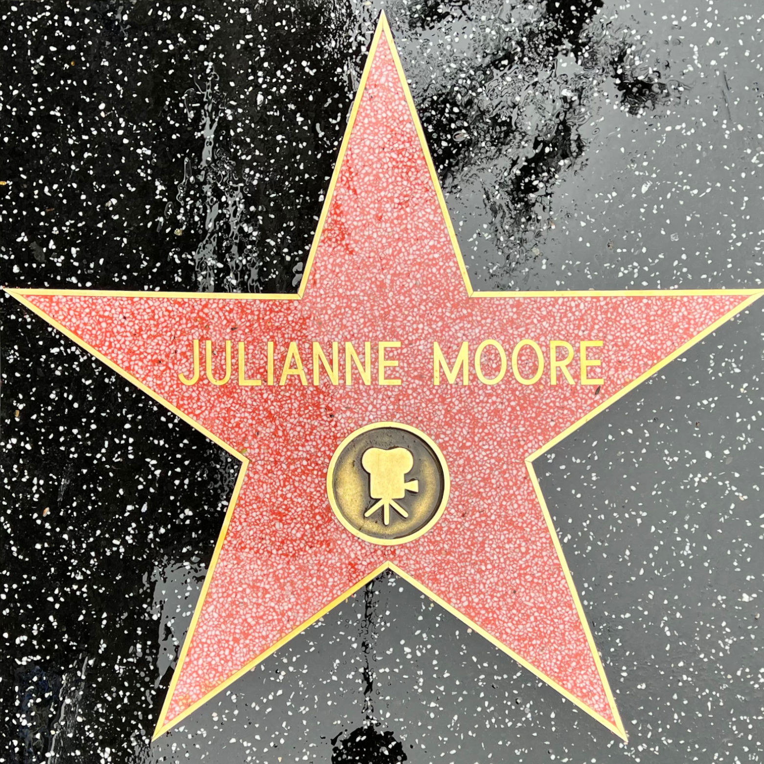 Julianne Moore's Motion Pictures Star