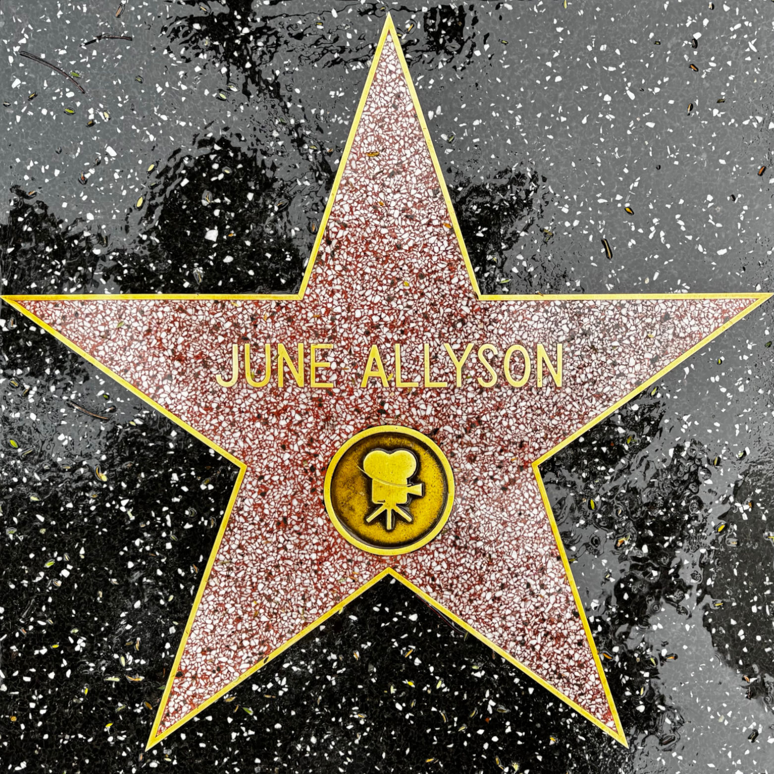 June Allyson's Motion Pictures Star June Allyson's Motion Pictures Star