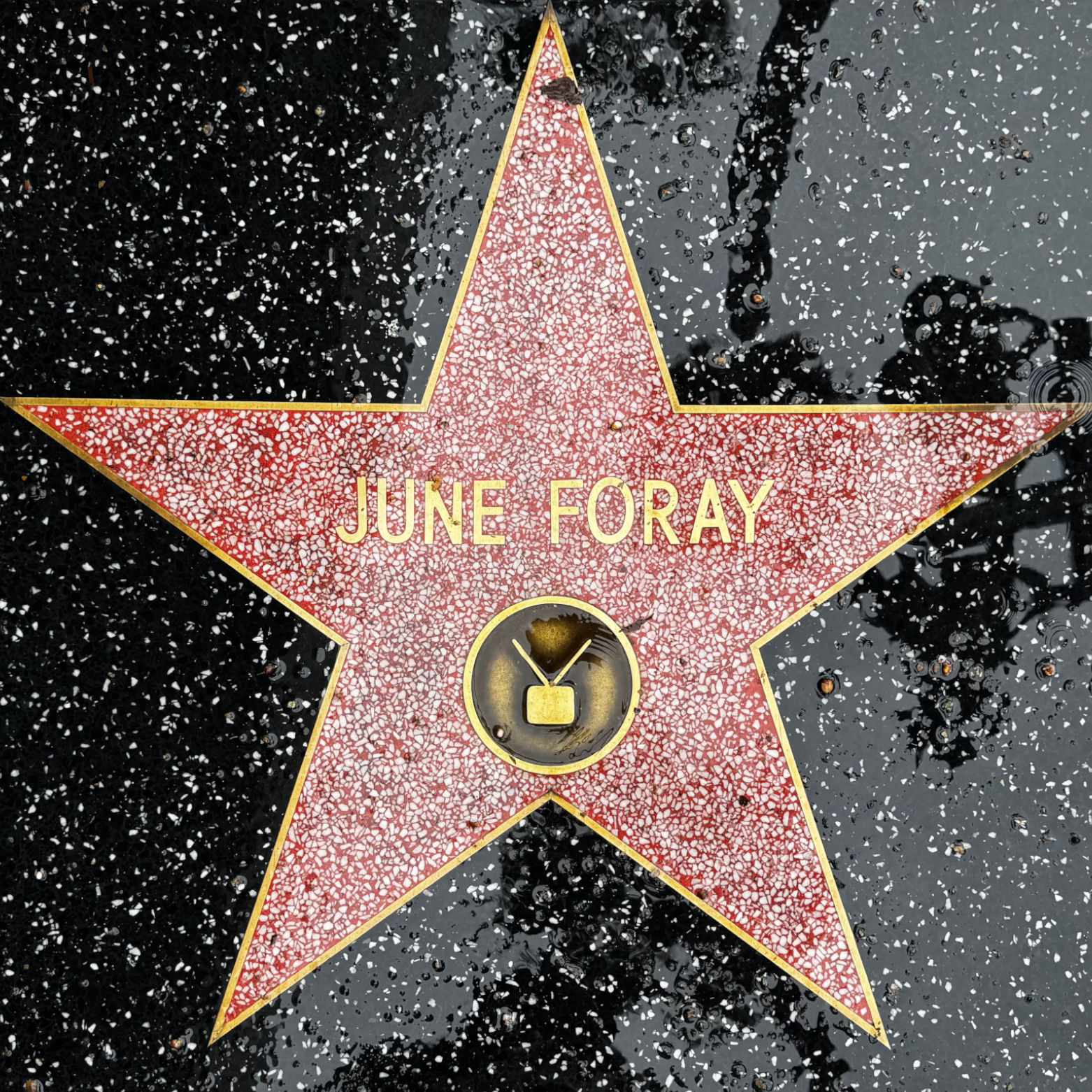 June Foray's Television Star June Foray's Television Star