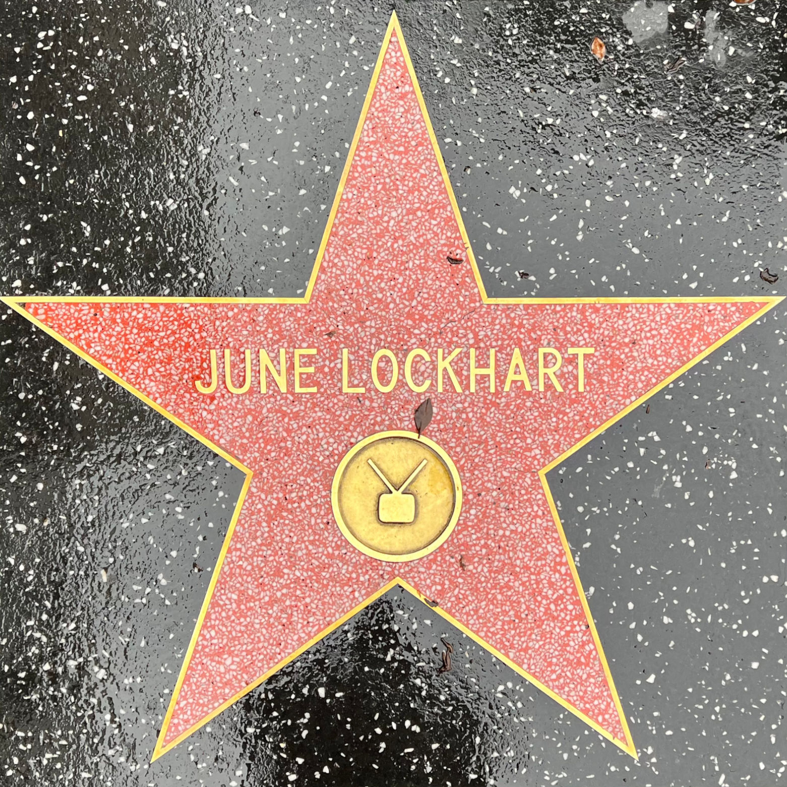 One of June Lockhart's Stars