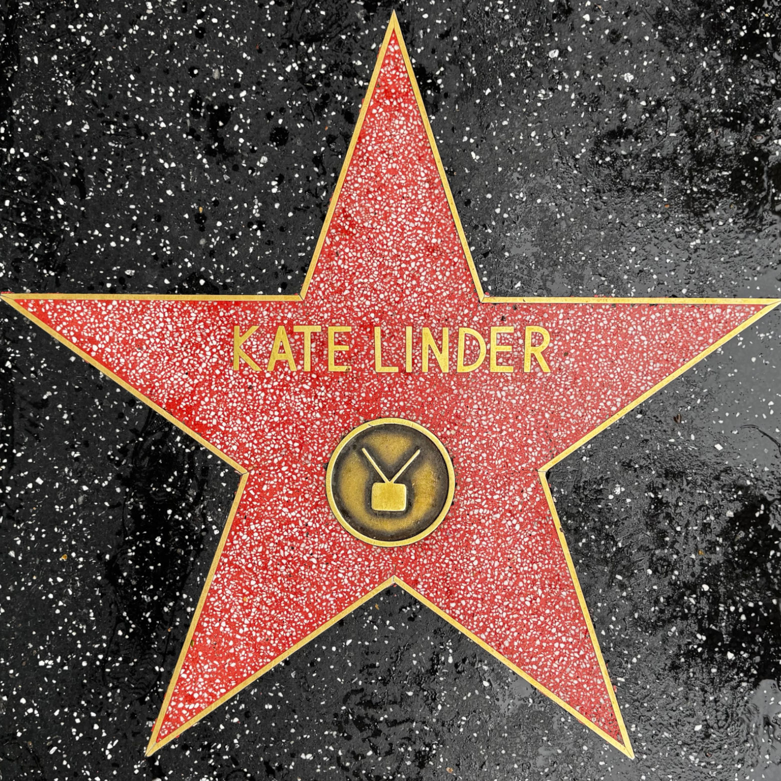 Kate Linder's Television Star Kate Linder's Television Star