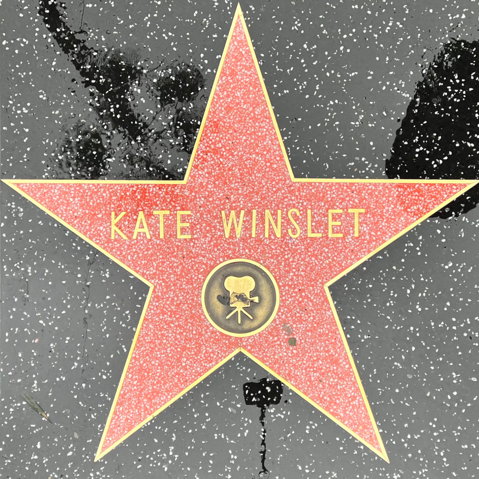 Kate Winslet's Motion Pictures Star