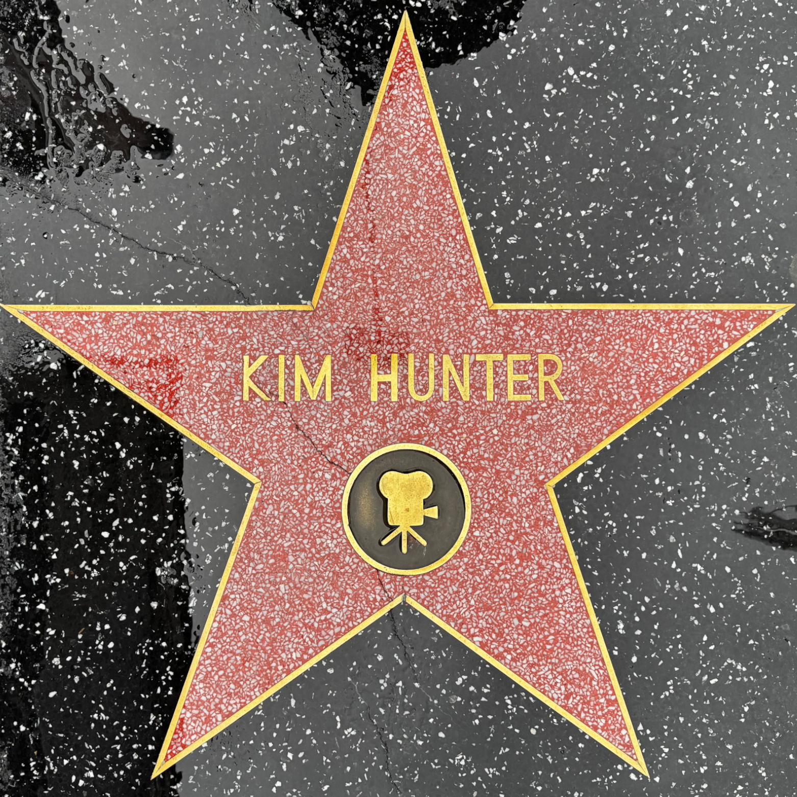Kim Hunter's Motion Pictures Star Kim Hunter's Motion Pictures Star