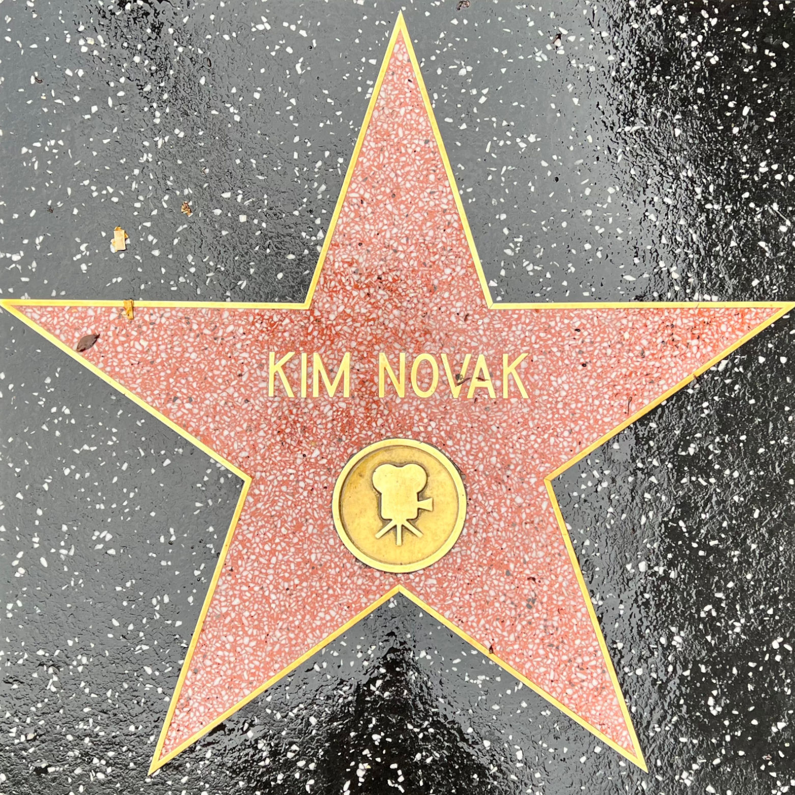 Kim Novak's Motion Pictures Star