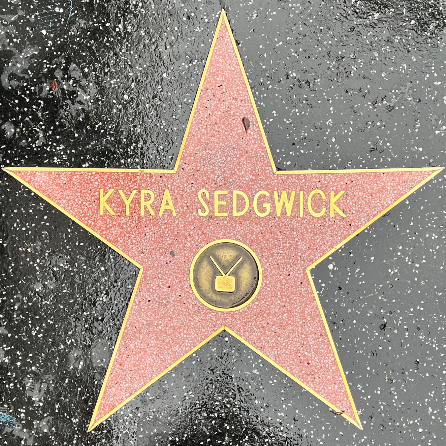 Kyra Sedgwick's Television Star