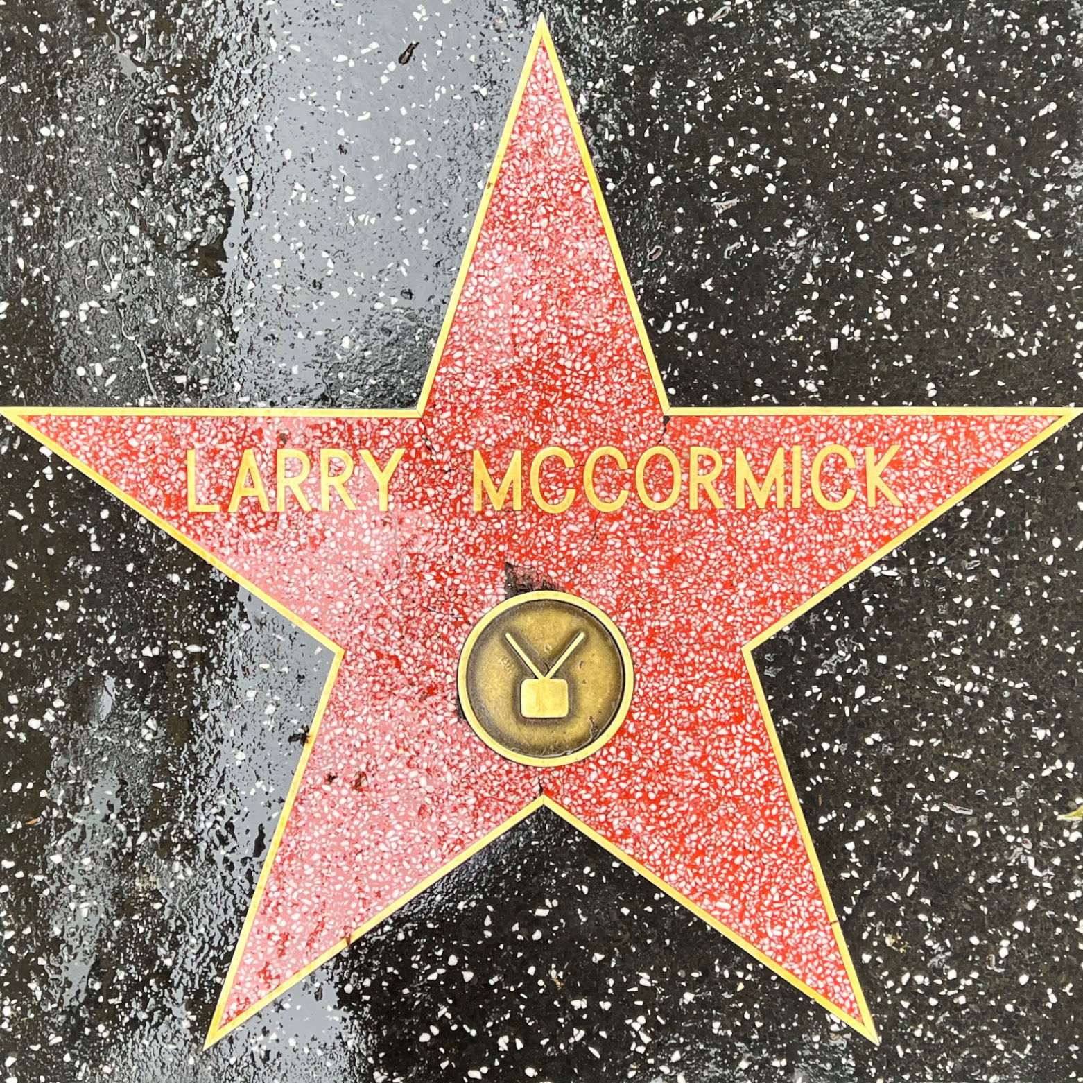 Larry McCormick's Television Star