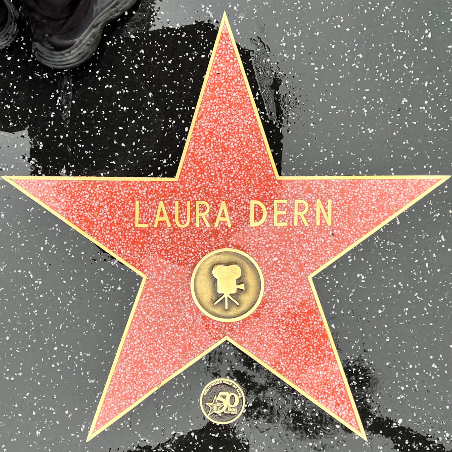 Laura Dern's Motion Pictures Star