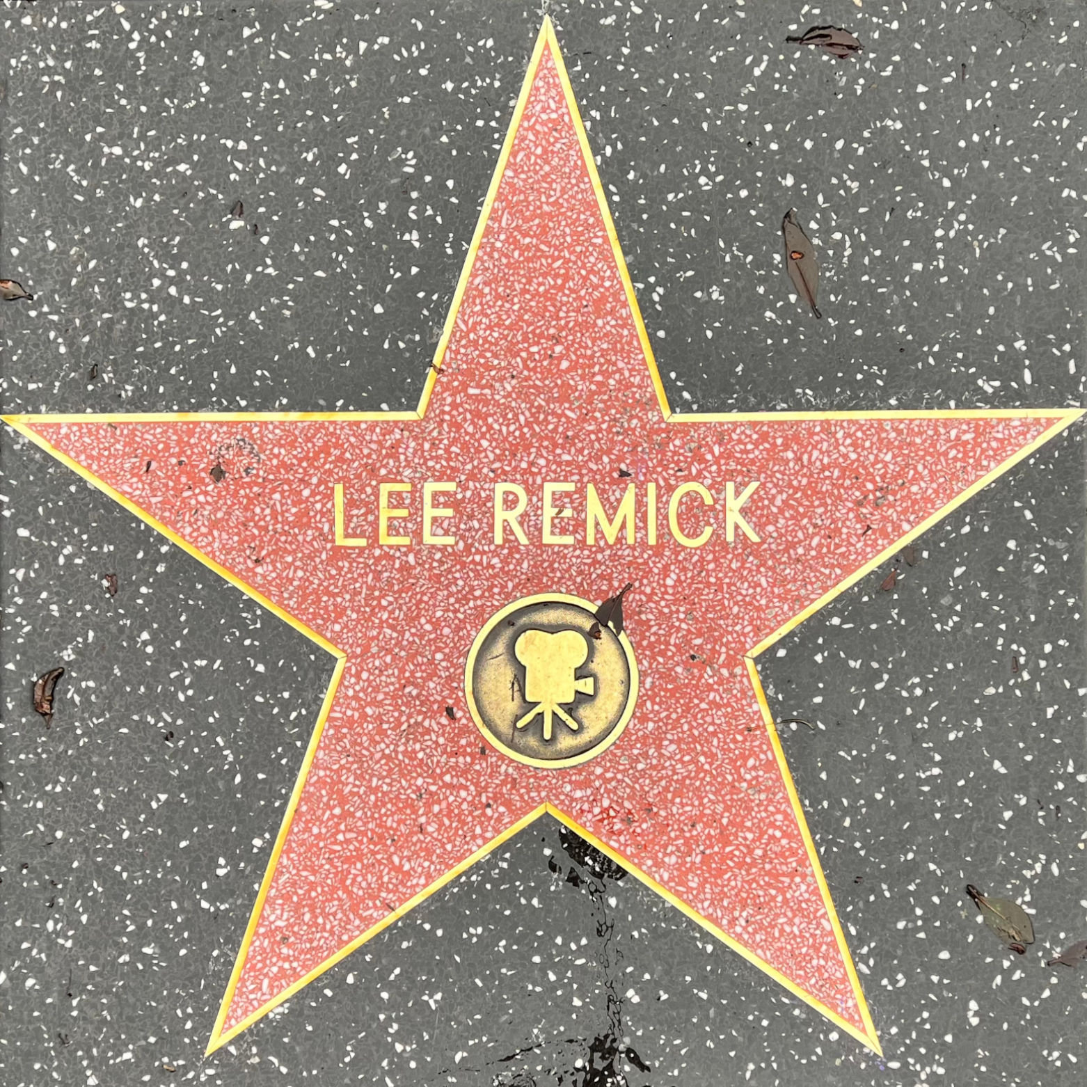 Lee Remick's Motion Pictures Star