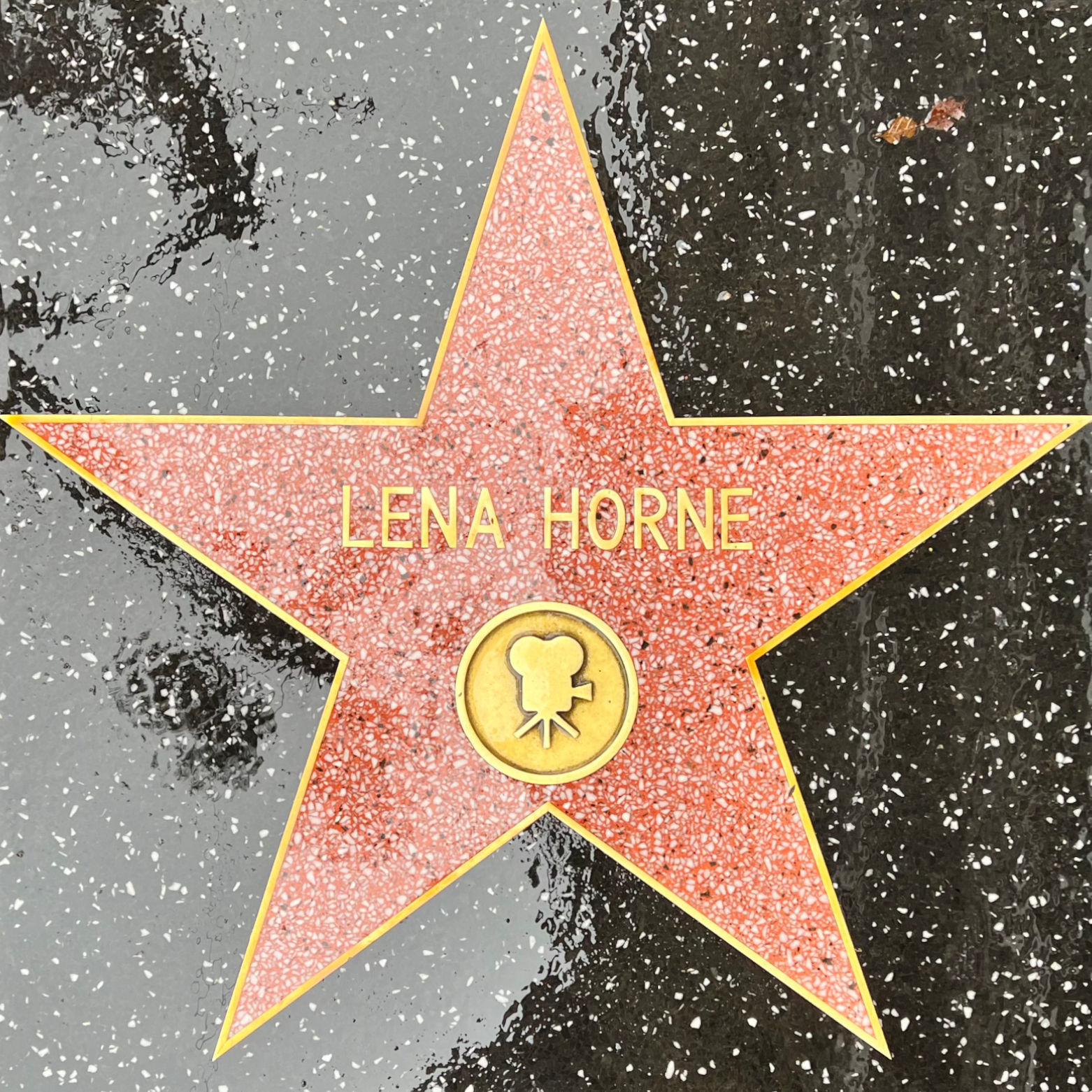 Lena Horne's Motion Pictures Star