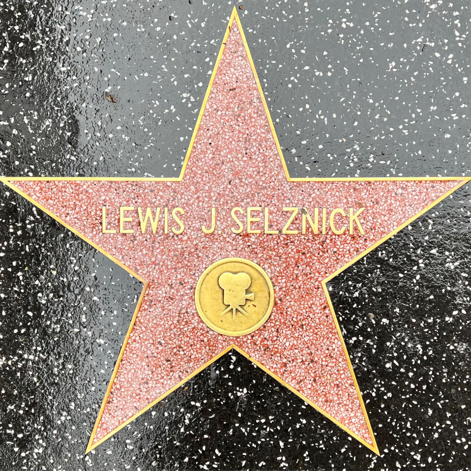 Lewis J. Selznick's Motion Pictures Star